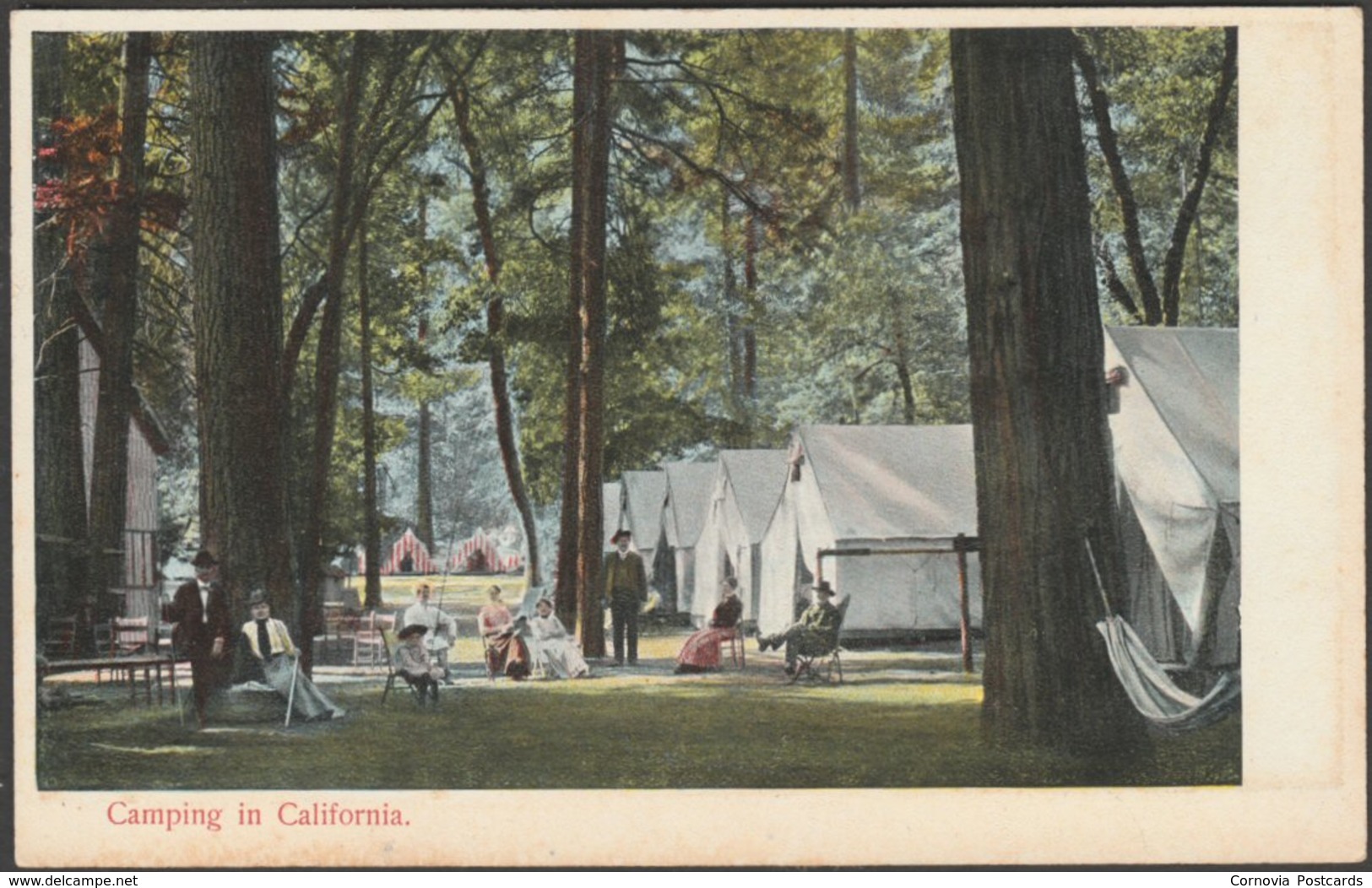 Camping In California, 1913 - Rieder Postcard - Other & Unclassified