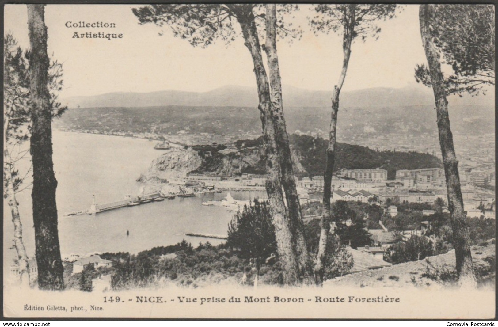 Vue Prise Du Mont Boron, Route Forestière, Nice, C.1910s - Giletta Frères CPA - Panoramic Views