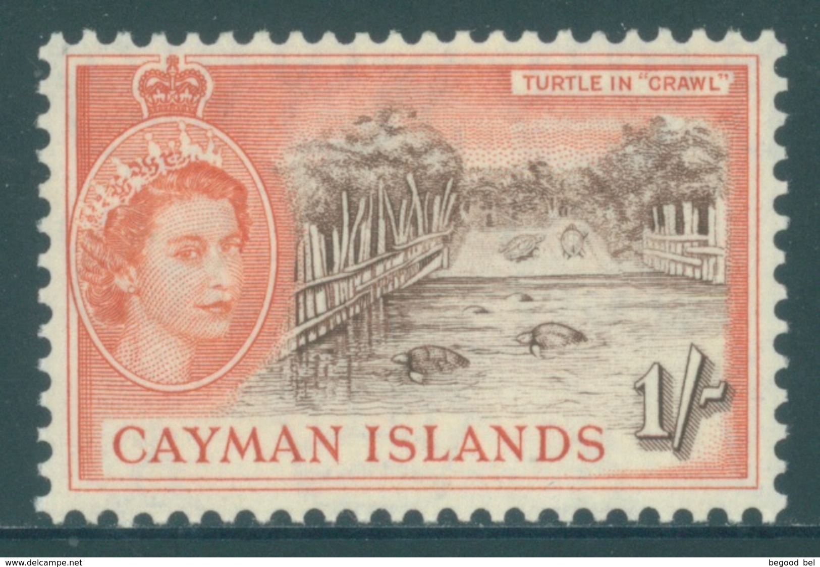 CAYMAN ISLANDS - MLH/*. - 1953-1959 - TURTLE IN CRAWL - Yv 150 -  Lot 18408 - Autres & Non Classés