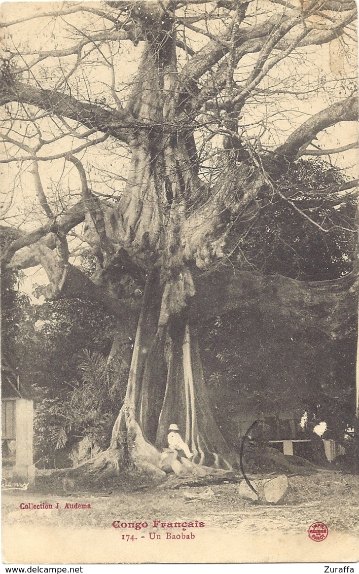 CPA Congo Français Un Baobab, Collection J. Audema 174, Cachet 1913 - Congo Français