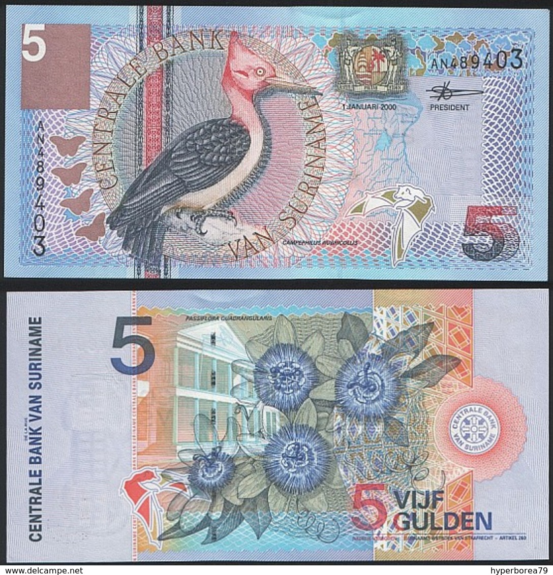 Suriname P 146 - 5 Gulden 1.1.2000 - UNC - Surinam