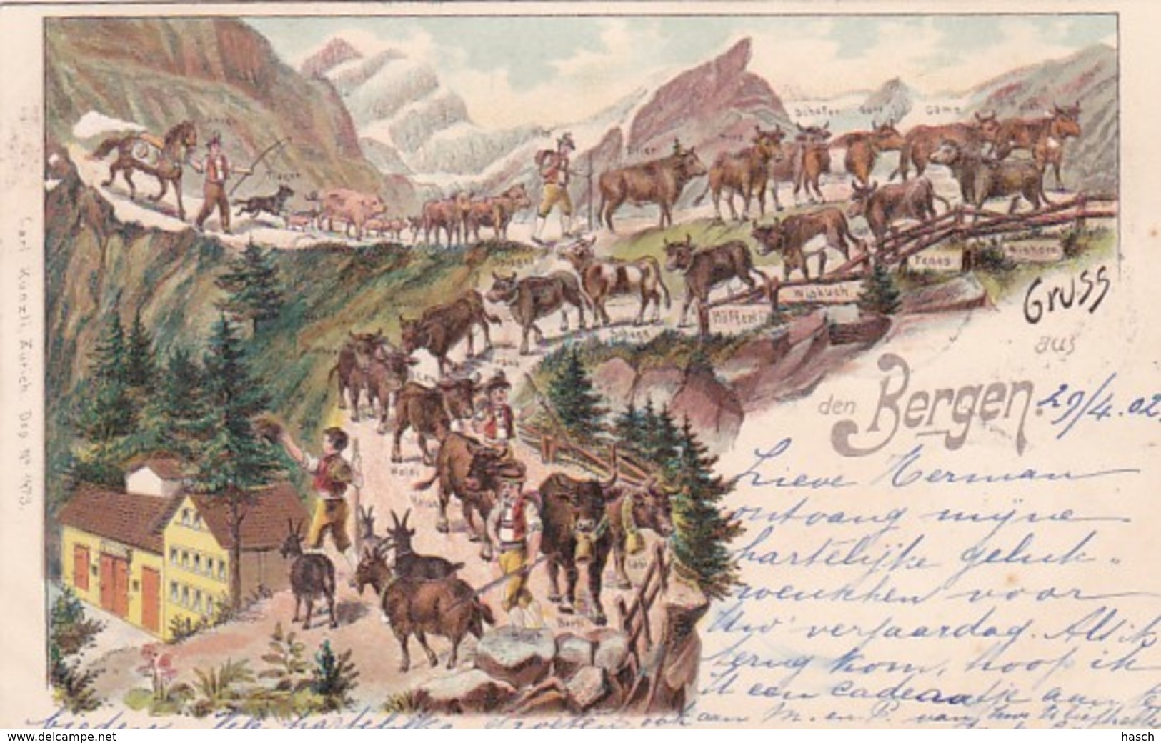 300645Gruss Aus Den Bergen, Litho. Mit Bahnpoststempel AMBULANT 29-04-1902.-40 Nr. 20 - Berg