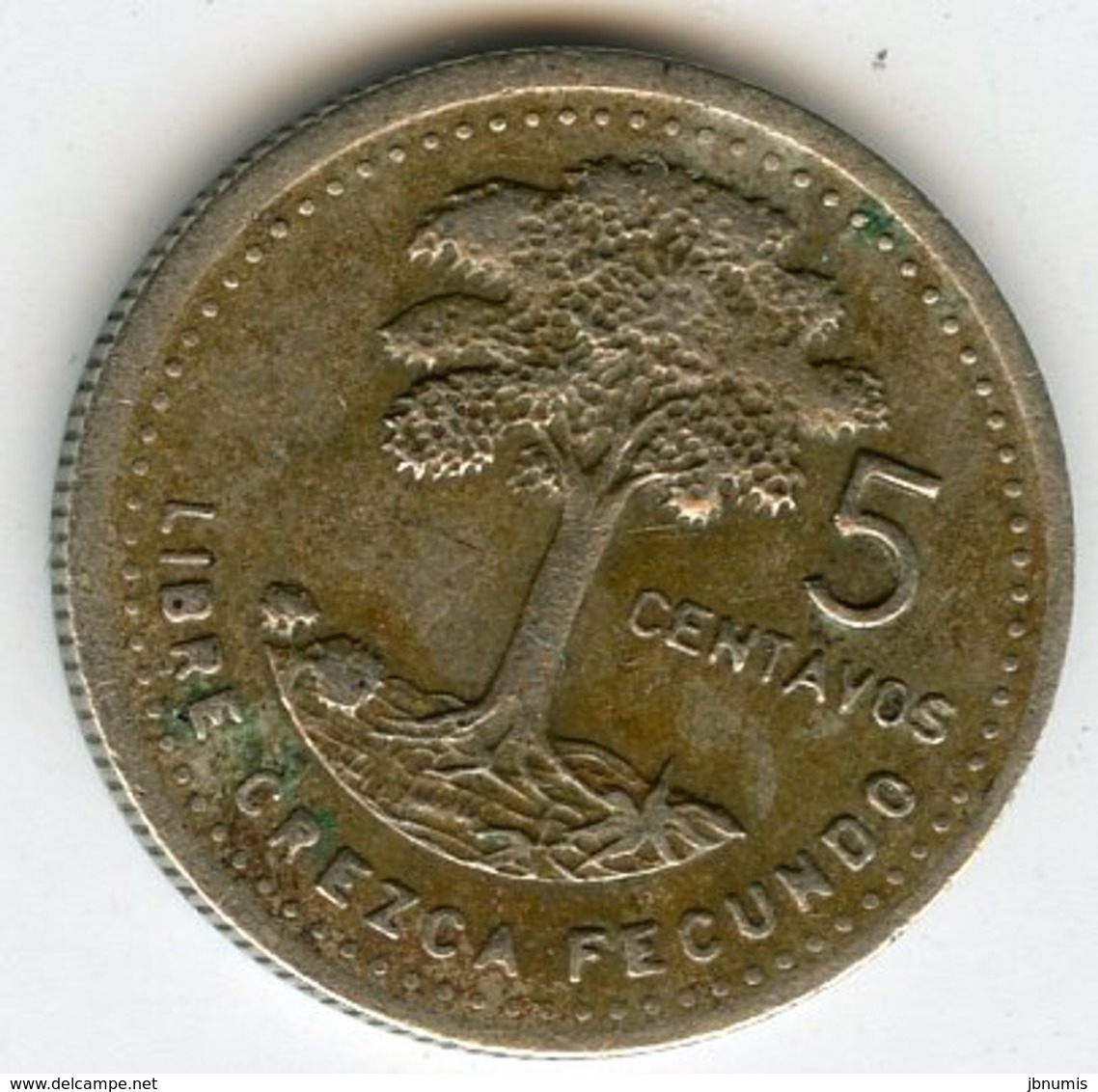 Guatemala 5 Centavos 1989 KM 276.4 - Guatemala