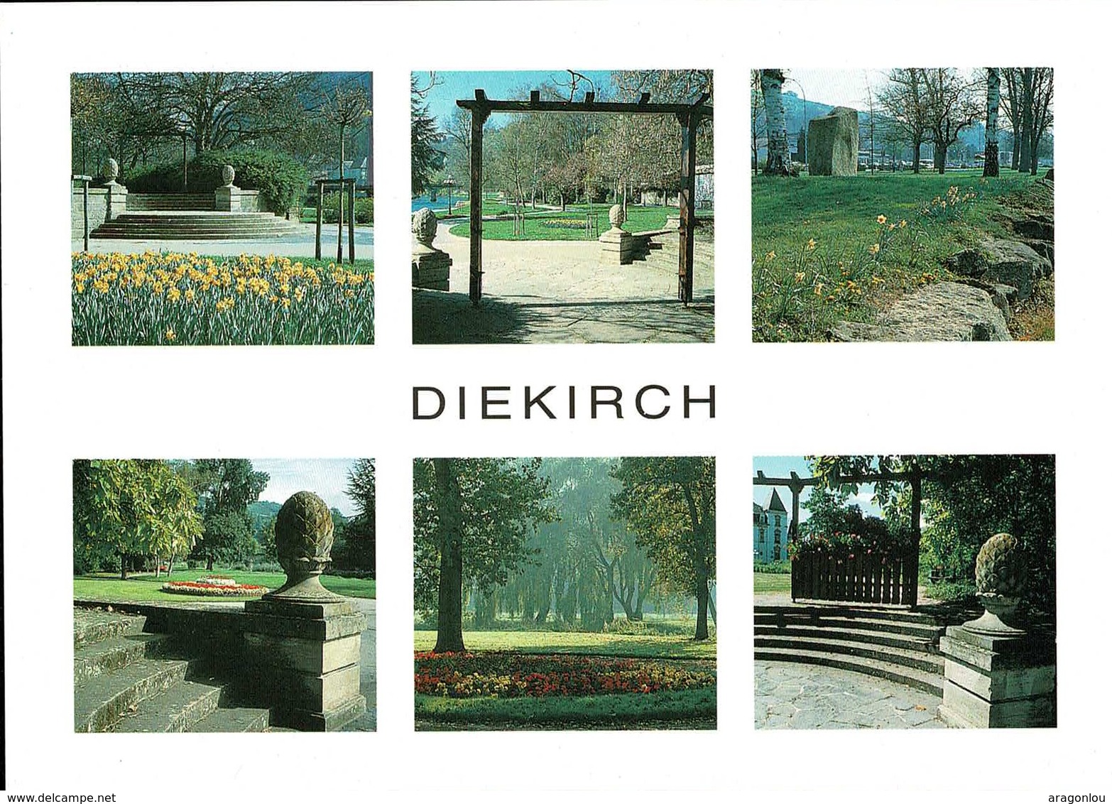 Diekirch: Le Parc Municipal 6 Vues, Carte Dimension Semi-moderne Non-postée - Diekirch