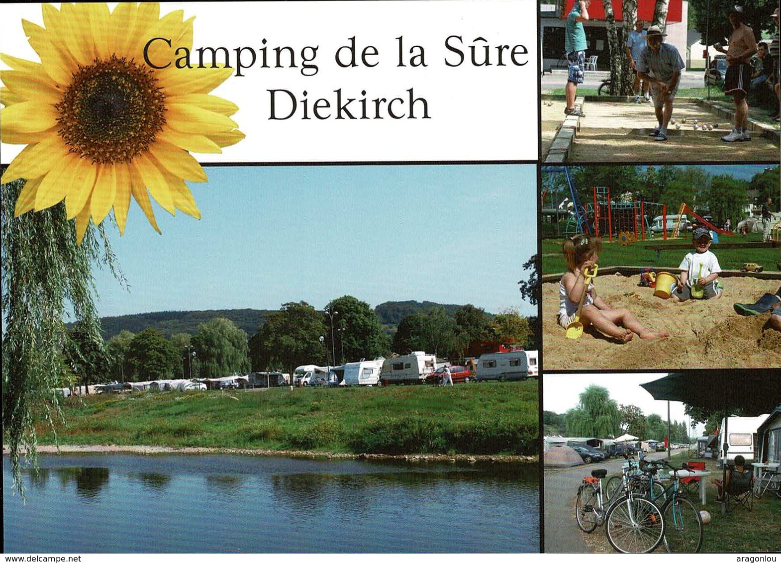 Diekirch: Camping De La Sûre, 4Vues, Carte Dimension Semi-moderne Non-postée - Diekirch