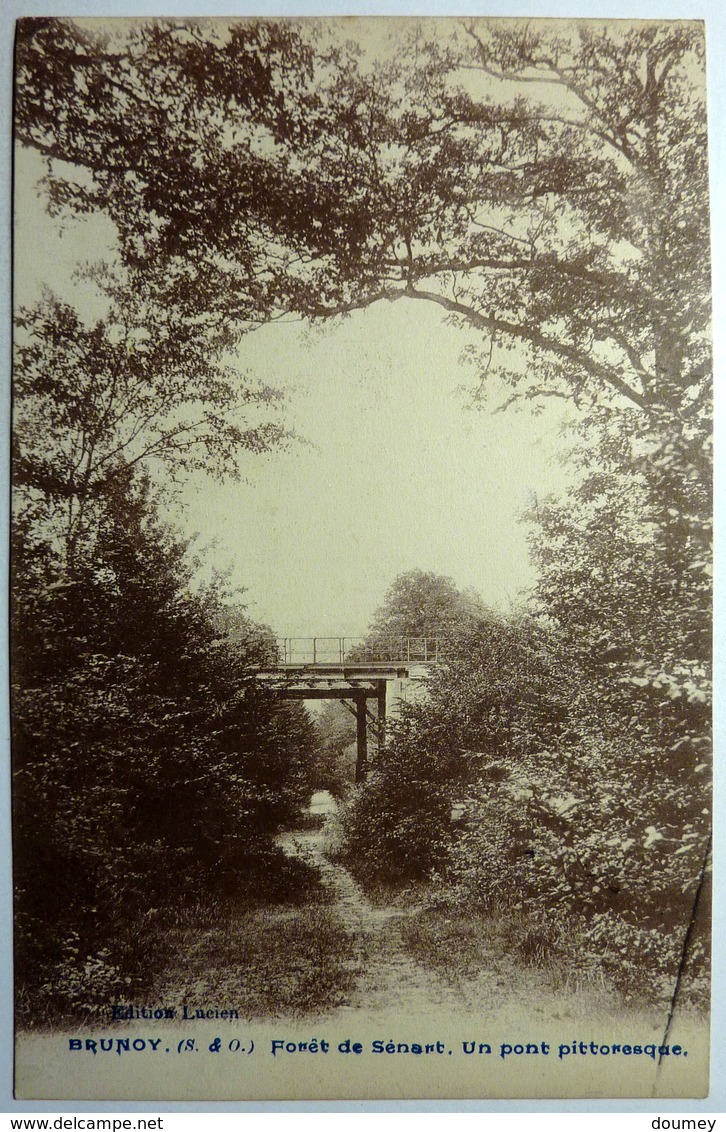 FORÊT DE SÉNART . UN PONT PITTORESQUE - BRUNOY - Brunoy