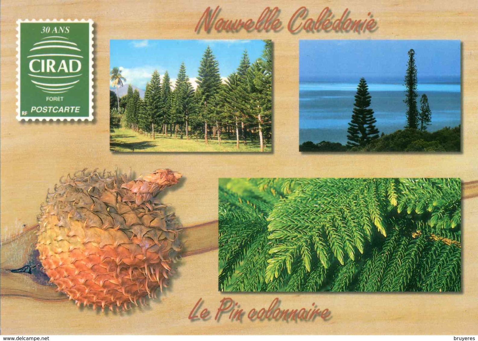 Entier Postal De 1997 Sur Carte Postale Avec Timbre "Planisphère/100F" Et  Illustration "30 Ans CIRAD Forêt " - Interi Postali