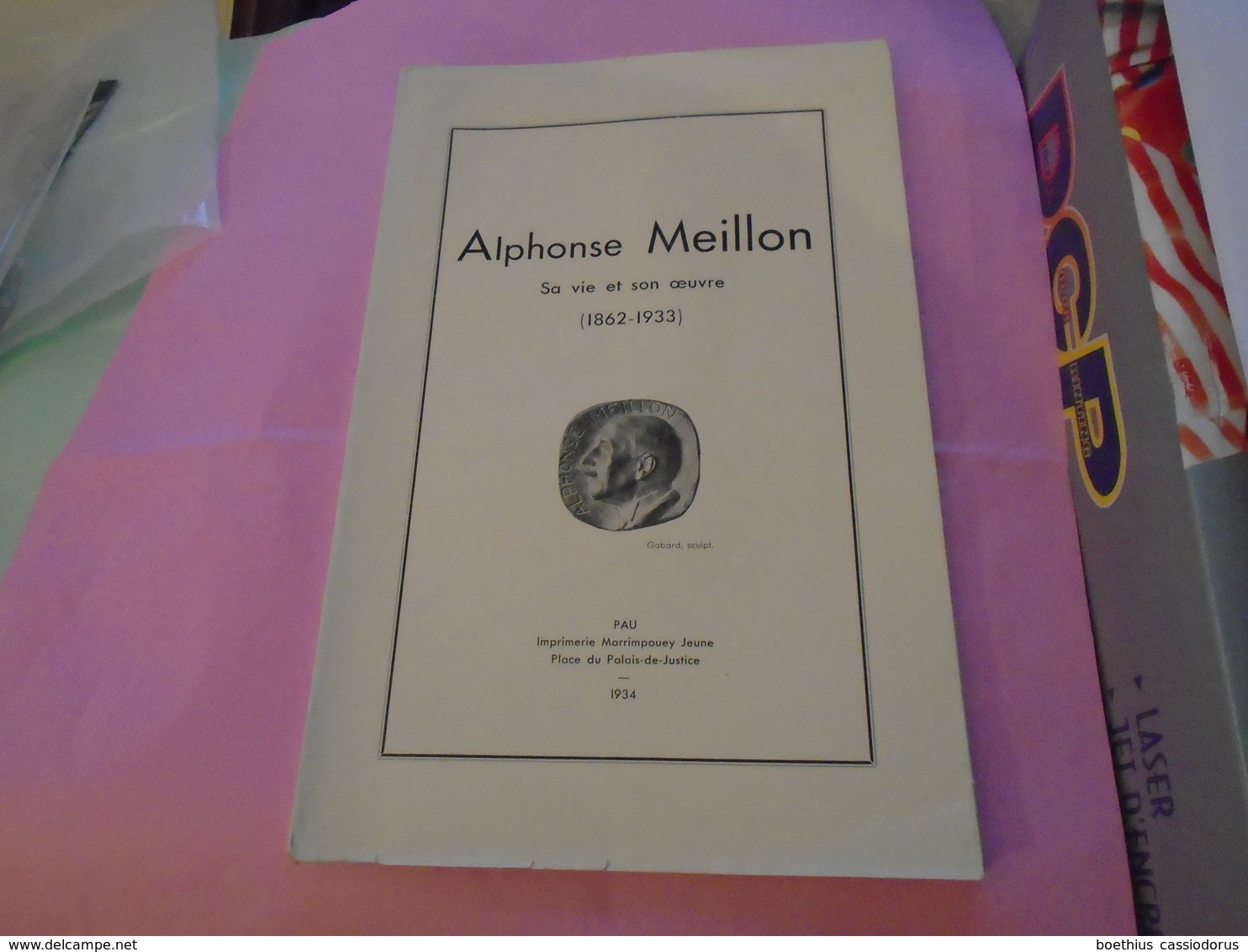 ALPHONSE MEILLON  SA VIE ET SON OEUVRE (1862 - 1933)  1934 Numéro Spécial Du Bulletin Pyrénéen Suite Décès D'A. MEILLON - Midi-Pyrénées