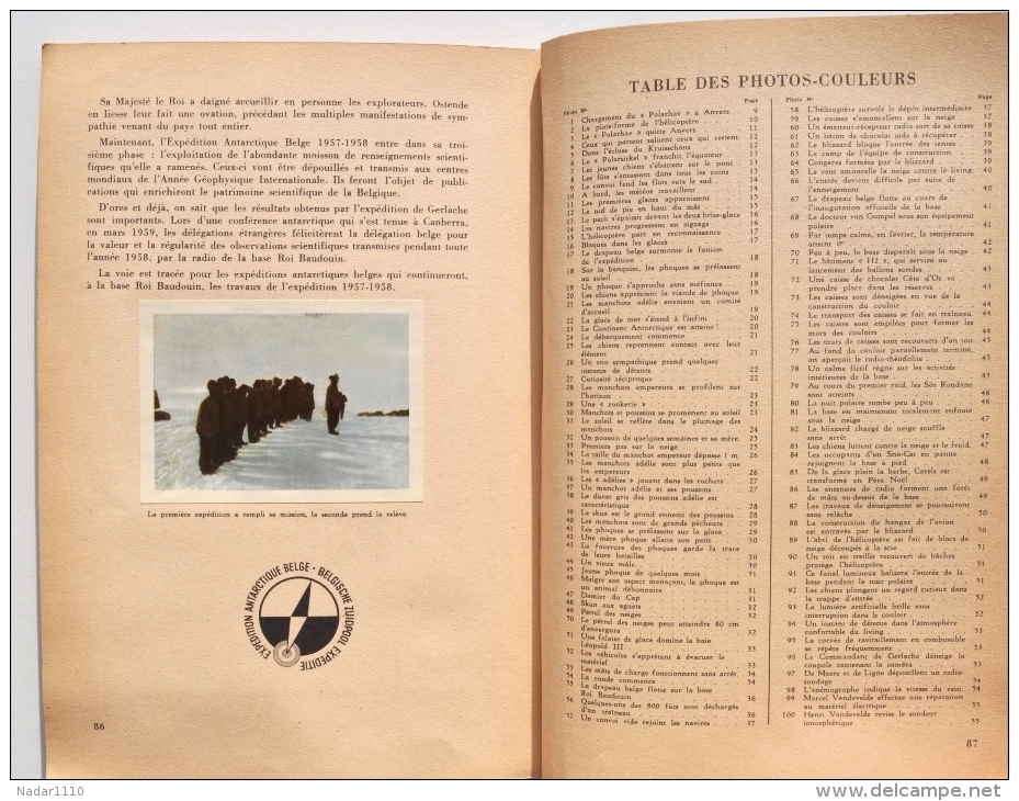 Hergé - Côte D'Or - ANTARCTIC - Album Chromos Complet, 1960 - Tintin