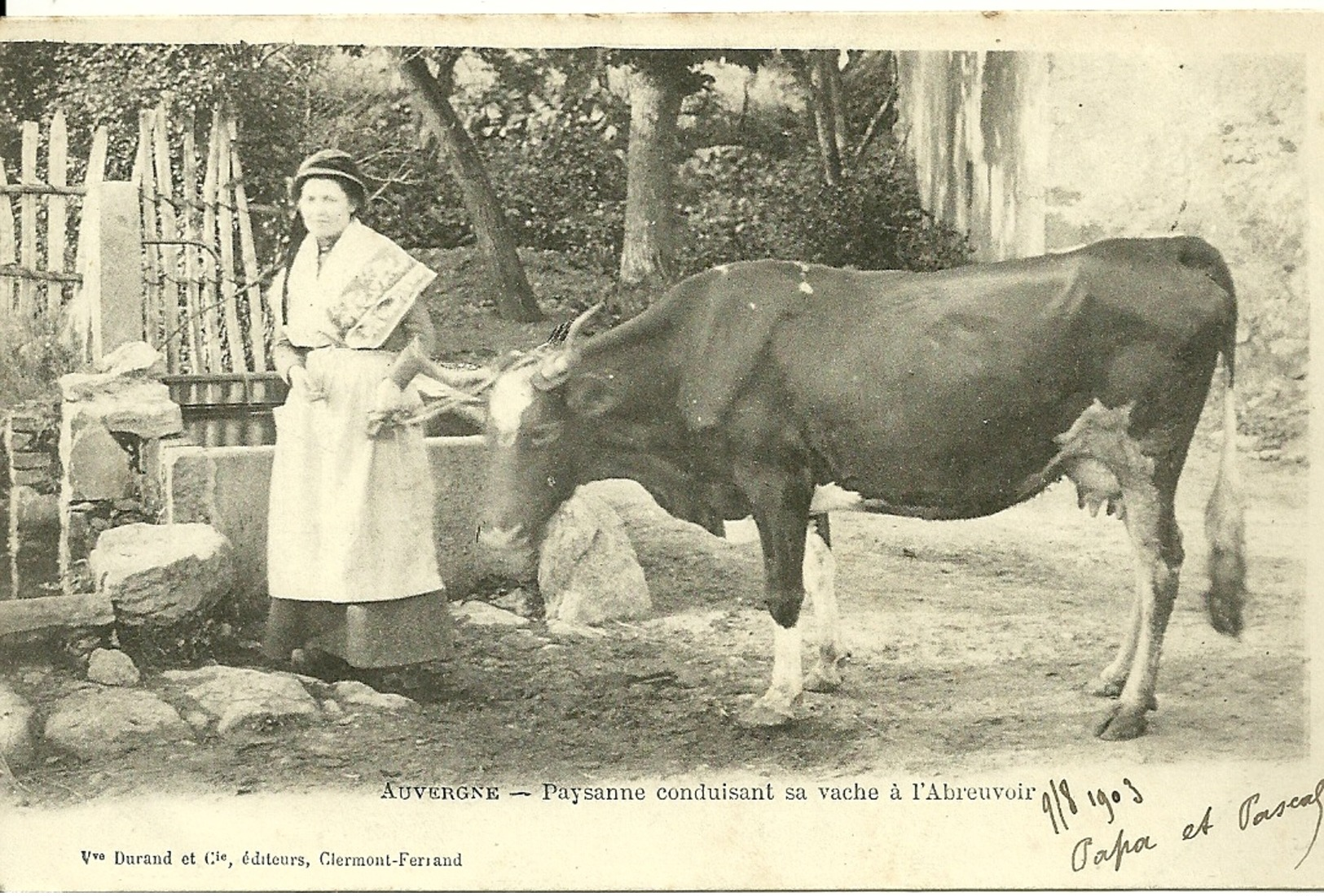 AUVERGNE - Paysanne Conduisant Sa Vache à L' Abreuvoir - Auvergne