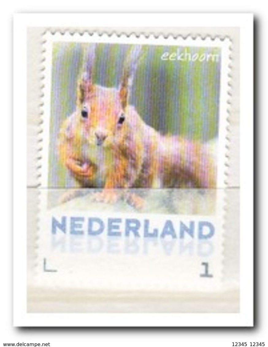 Nederland 2013, Postfris MNH, NVPH 3013, Squirrel - Ongebruikt
