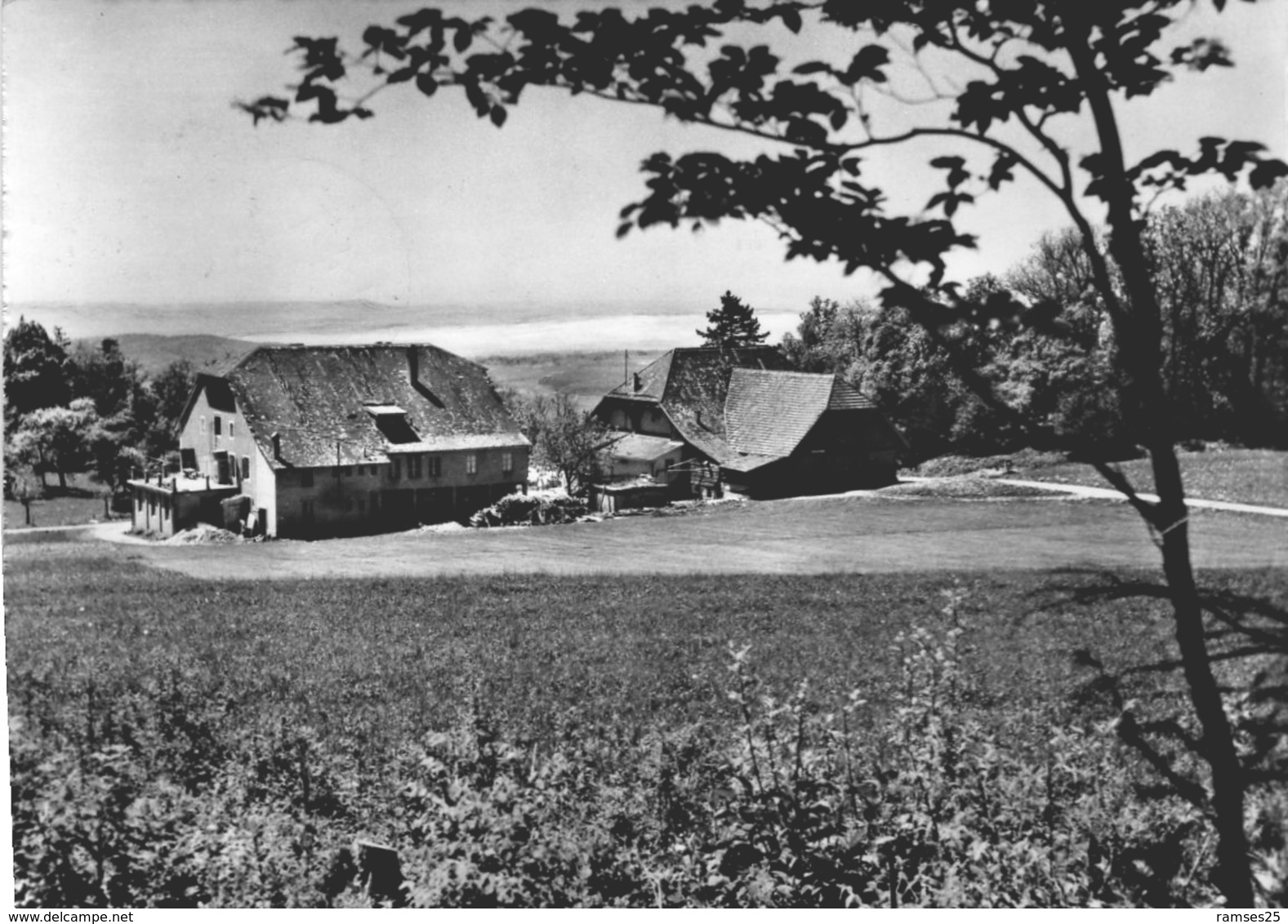 (82) CPSM  Oeuvre Suisse D'entraide Ouvriere Maison Vacance Champfahy  Poste Lignieres   (Bon Etat ) - Lignières