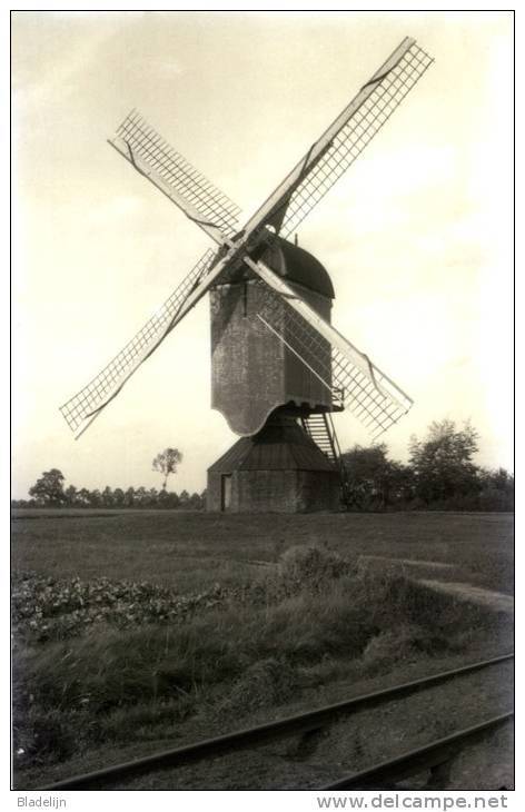 BRECHT (Antw.) - Molen/moulin - MAXIKAART Van Verdwenen Houten Standaardmolen (Akkermolen) Met Tramrails In 1925. Fraai! - Brecht