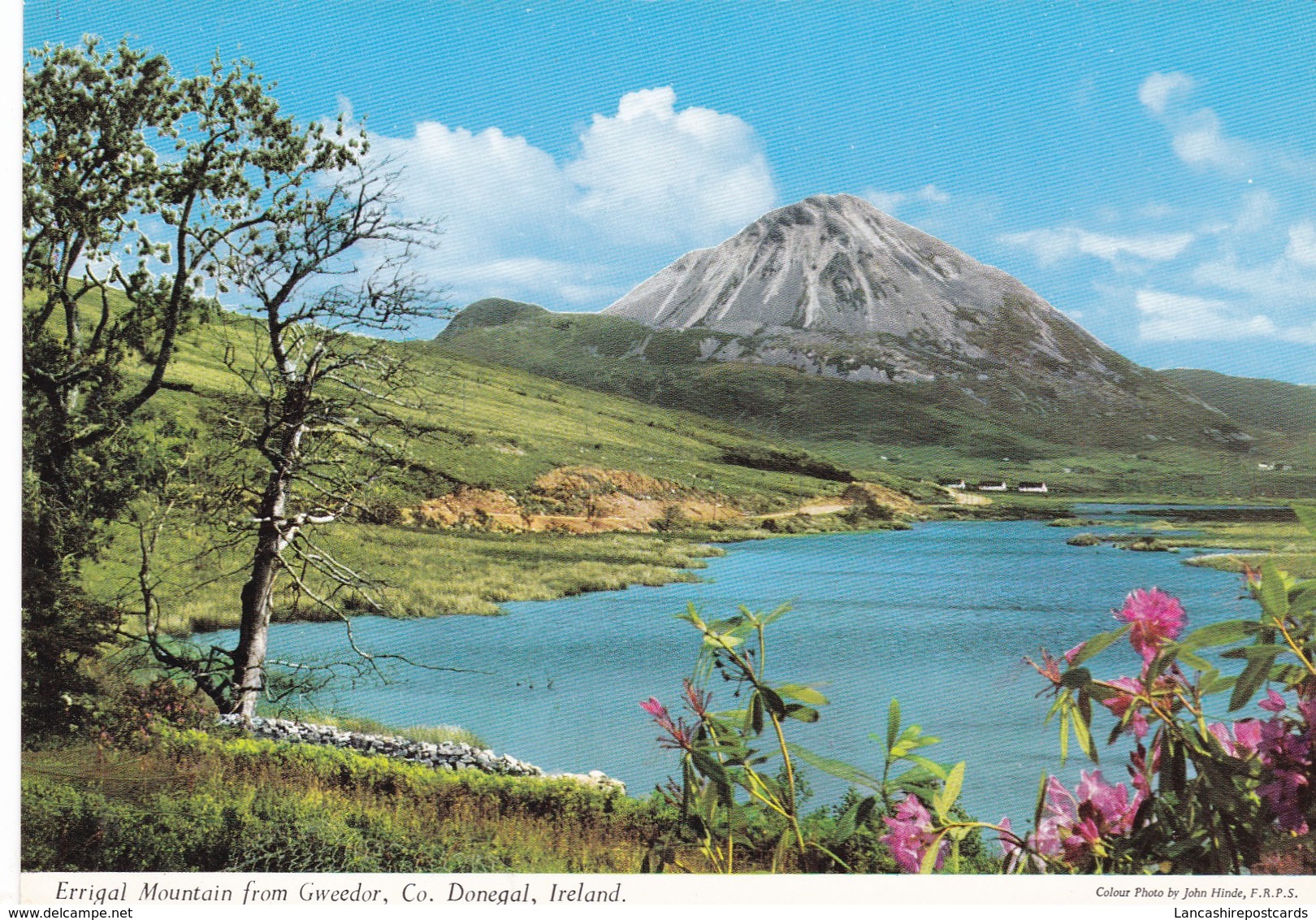 Postcard Errigal Mountain From Gweedor Co Donegal Ireland [ John Hinde ] My Ref  B23191 - Donegal