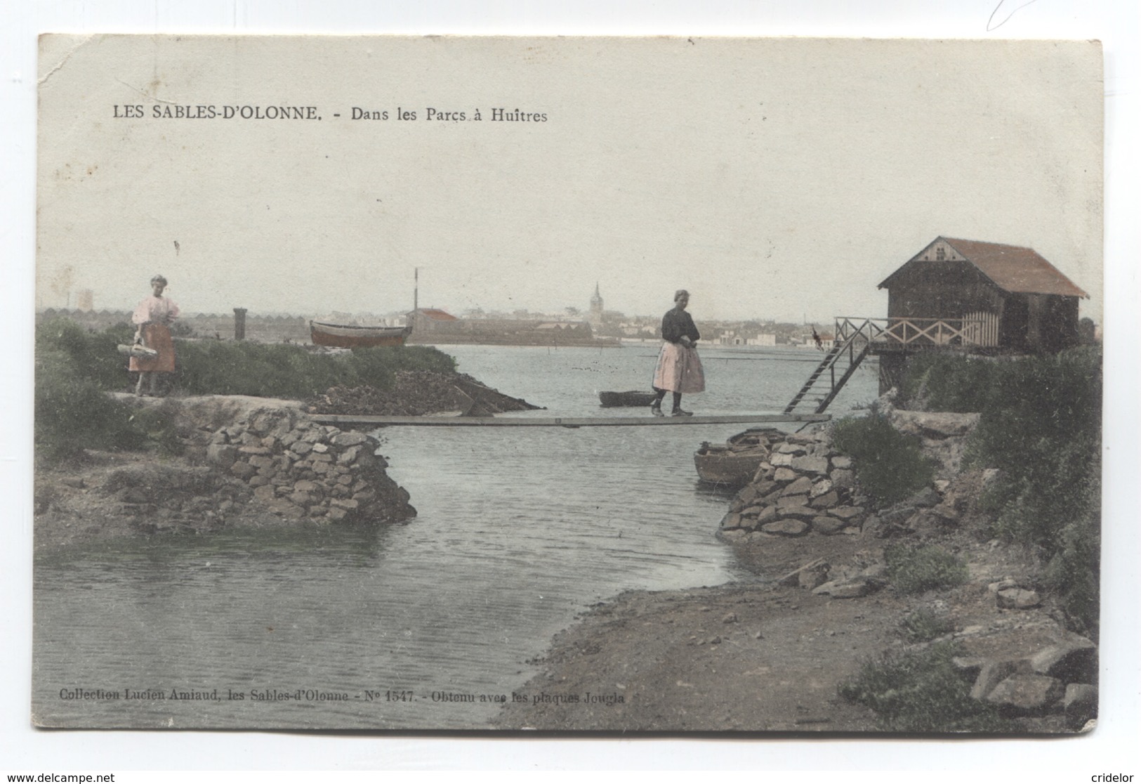 85 - LES SABLES D'OLONNE - DANS LES PARCS A HUITRES - VOIR ZOOM - Sables D'Olonne