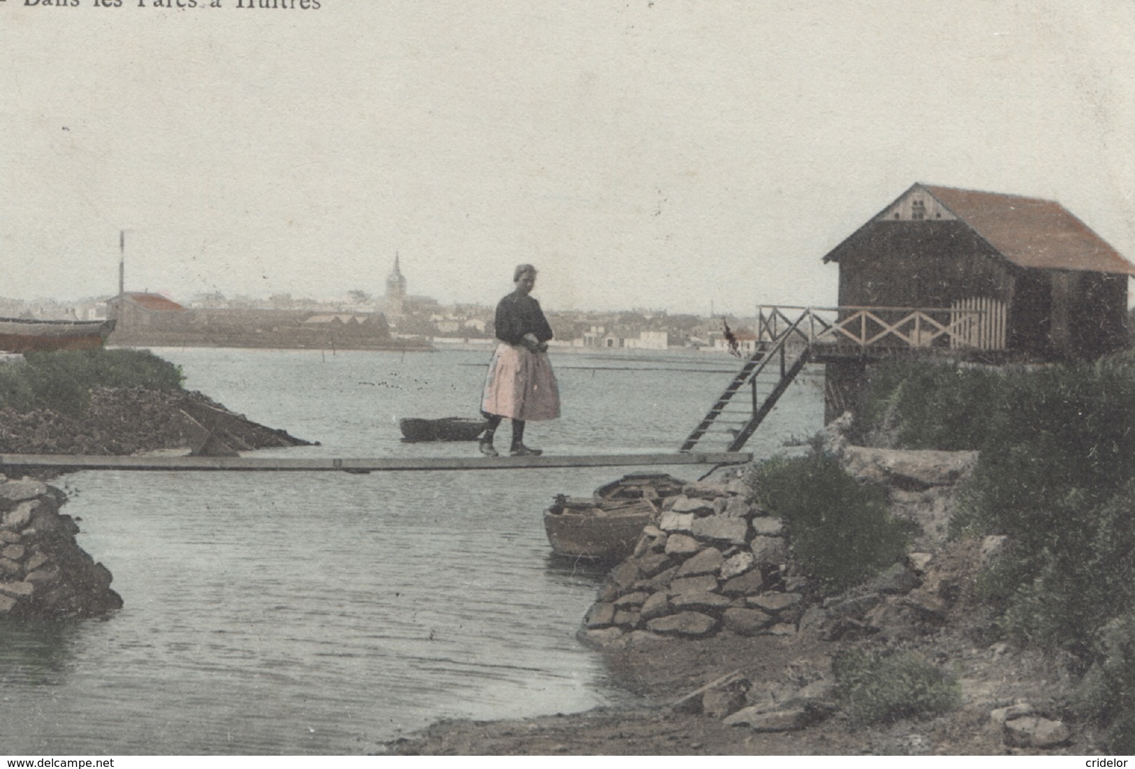 85 - LES SABLES D'OLONNE - DANS LES PARCS A HUITRES - VOIR ZOOM - Sables D'Olonne