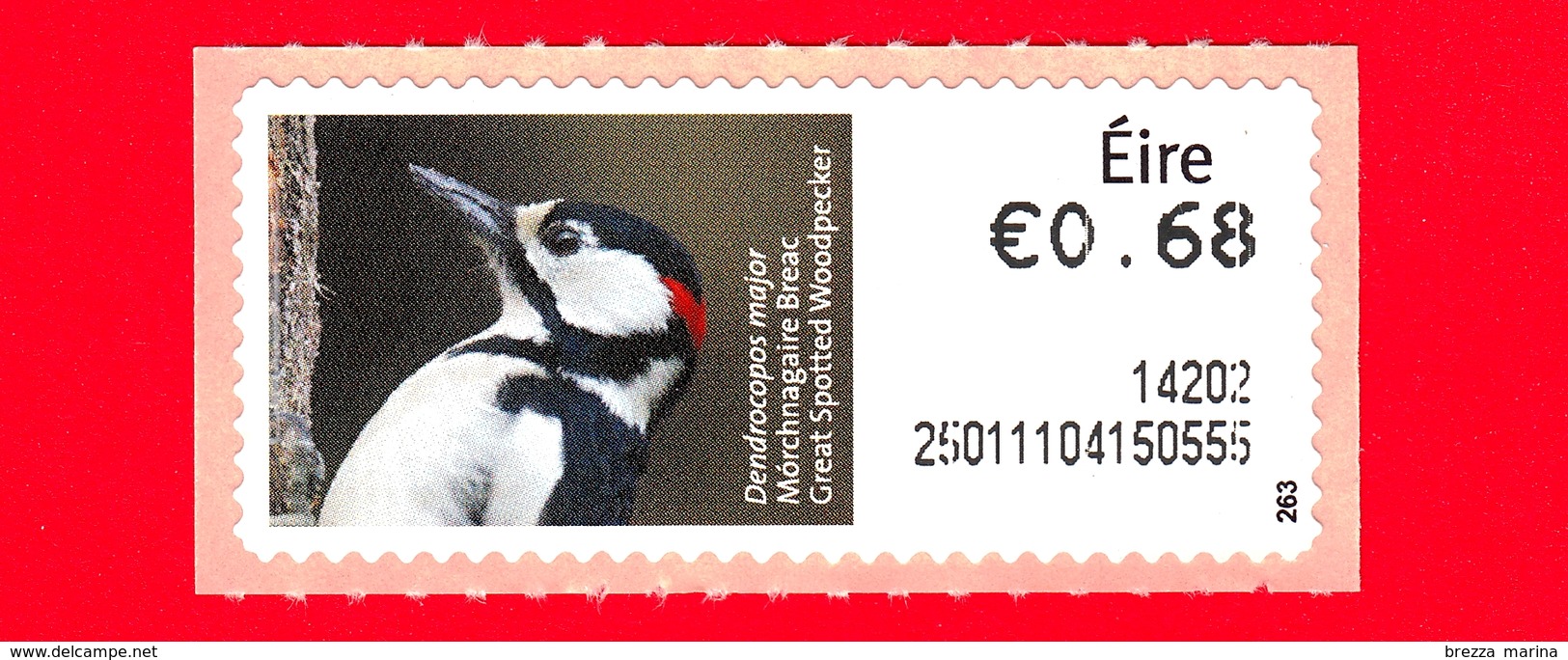 Nuovo - MNH - IRLANDA - EIRE - 2013 - Animali E Vita Marina  - Picchio - Great Spotted Woodpecker (Dendrocopos Major) - - Affrancature Meccaniche/Frama