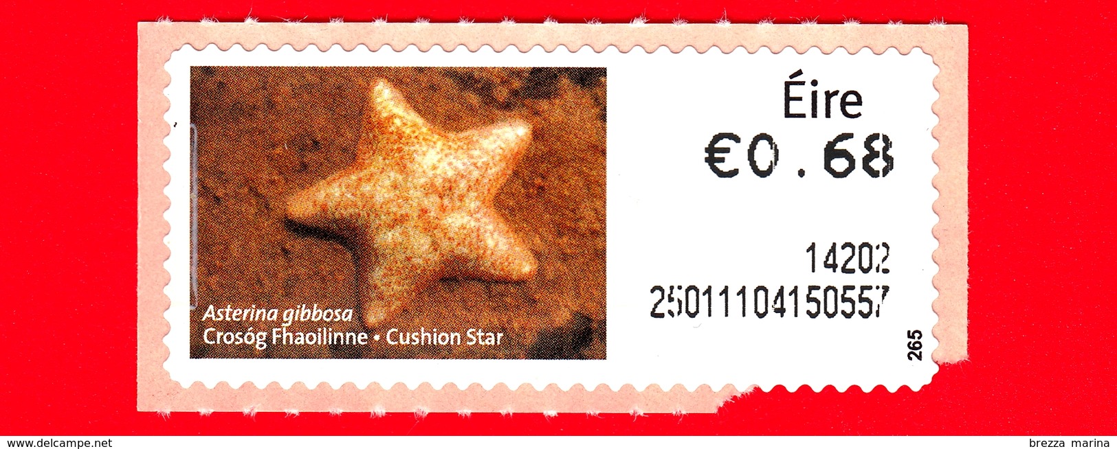 Nuovo - MNH - IRLANDA - EIRE - 2013 - Animali E Vita Marina  - Stella Marina - Cushion Star (Asterina Gibbosa) - 0.68 - - Affrancature Meccaniche/Frama