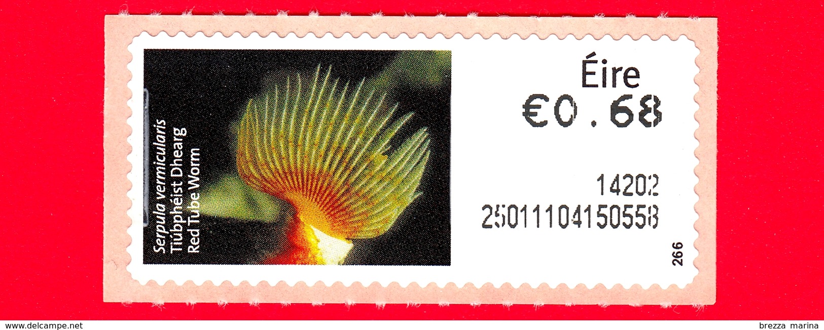 Nuovo - MNH - IRLANDA - EIRE - 2013 - Animali E Vita Marina  - Pesci - Red Tube Worm (Serpula Vermicularis) - 0.68 - 266 - Affrancature Meccaniche/Frama