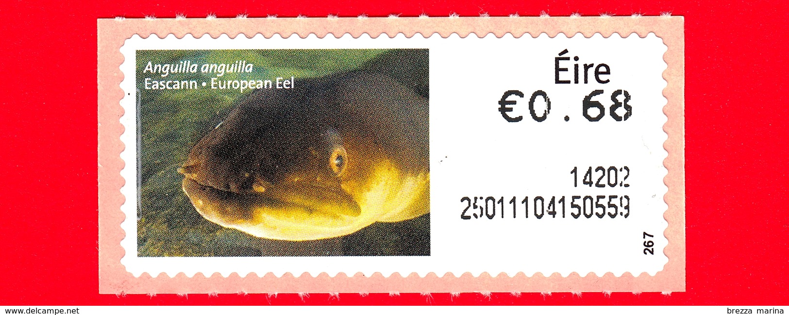 Nuovo - MNH - IRLANDA - EIRE - 2013 - Animali E Vita Marina  - Pesci - Eel (Anguilla Anguilla) - 0.68 - 267 - Affrancature Meccaniche/Frama