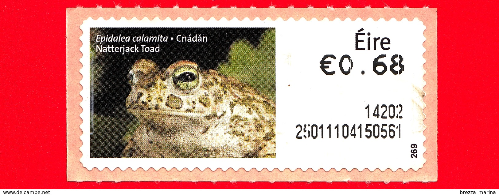 Nuovo - MNH - IRLANDA - EIRE - 2013 - Animali E Vita Marina  - Rana - Natterjack Toad (Bufo Calamita) - 0.68 - 269 - Vignettes D'affranchissement (Frama)
