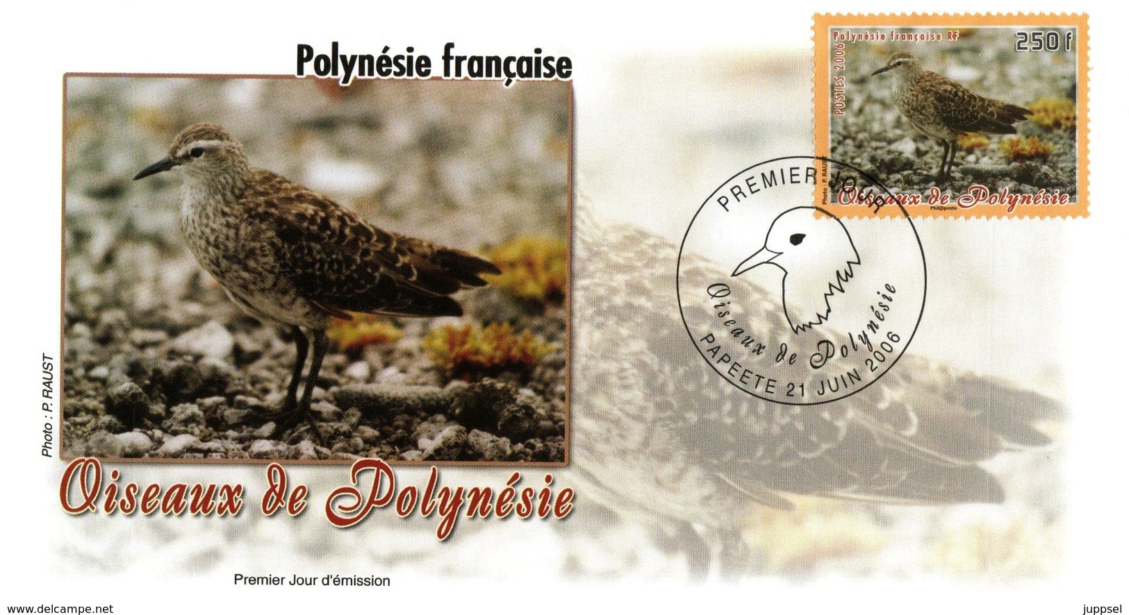 FRENCH POLYNESIA   FDC 2006 Bird  /  POLYNÉSIE FRANCAISE  Oiseau - Autres & Non Classés