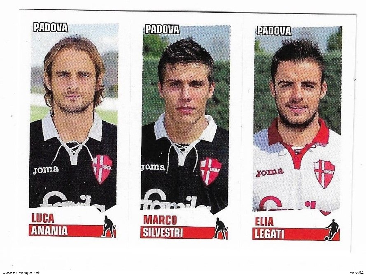 CALCIATORI PANINI  2012 - 2013 ANANIA SILVESTRI LEGATI PADOVA N. 609 - Edizione Italiana