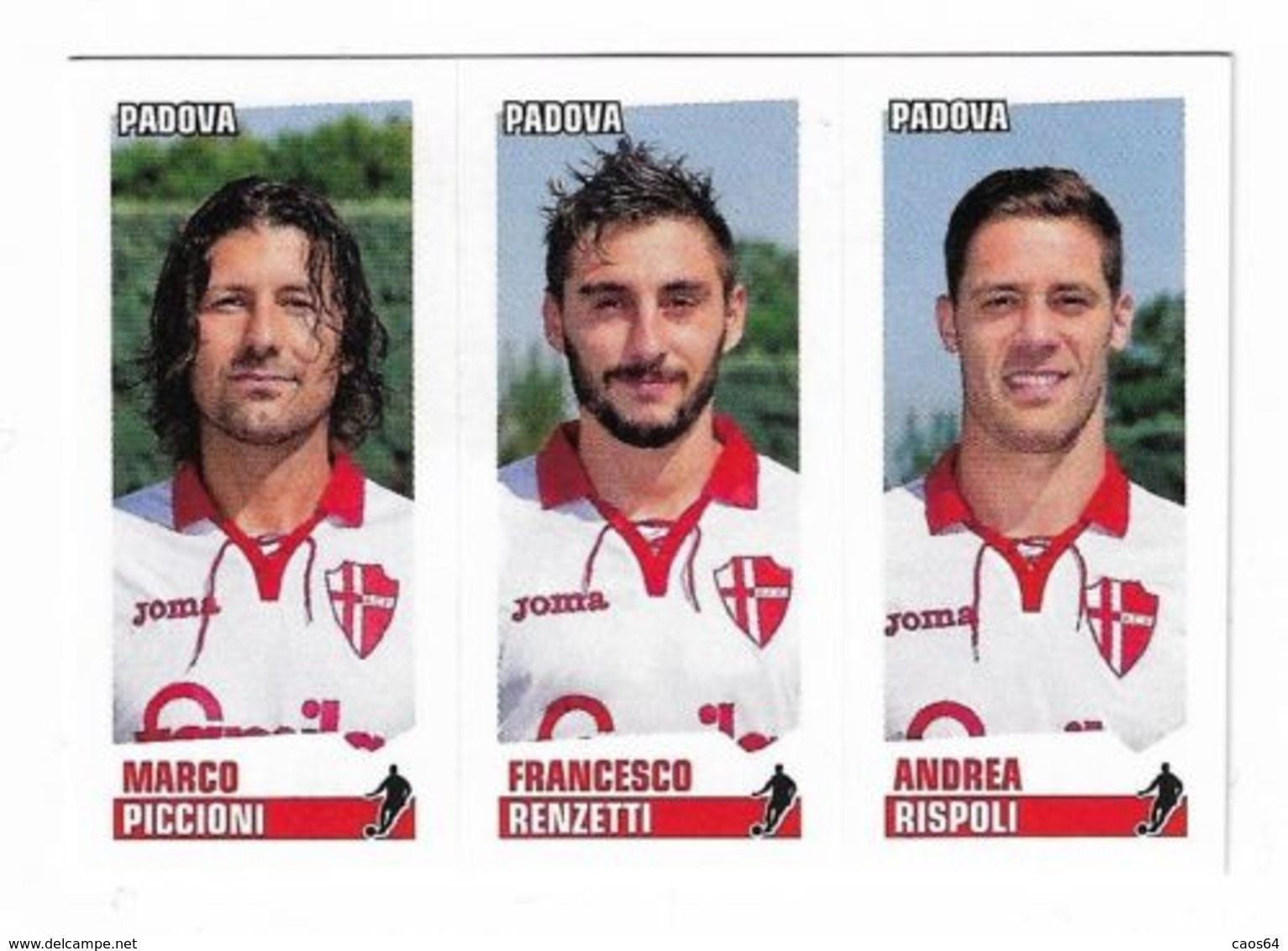 CALCIATORI PANINI  2012 - 2013 PICCIONI RENZETTI RISPOLI PADOVA N. 610 - Edizione Italiana