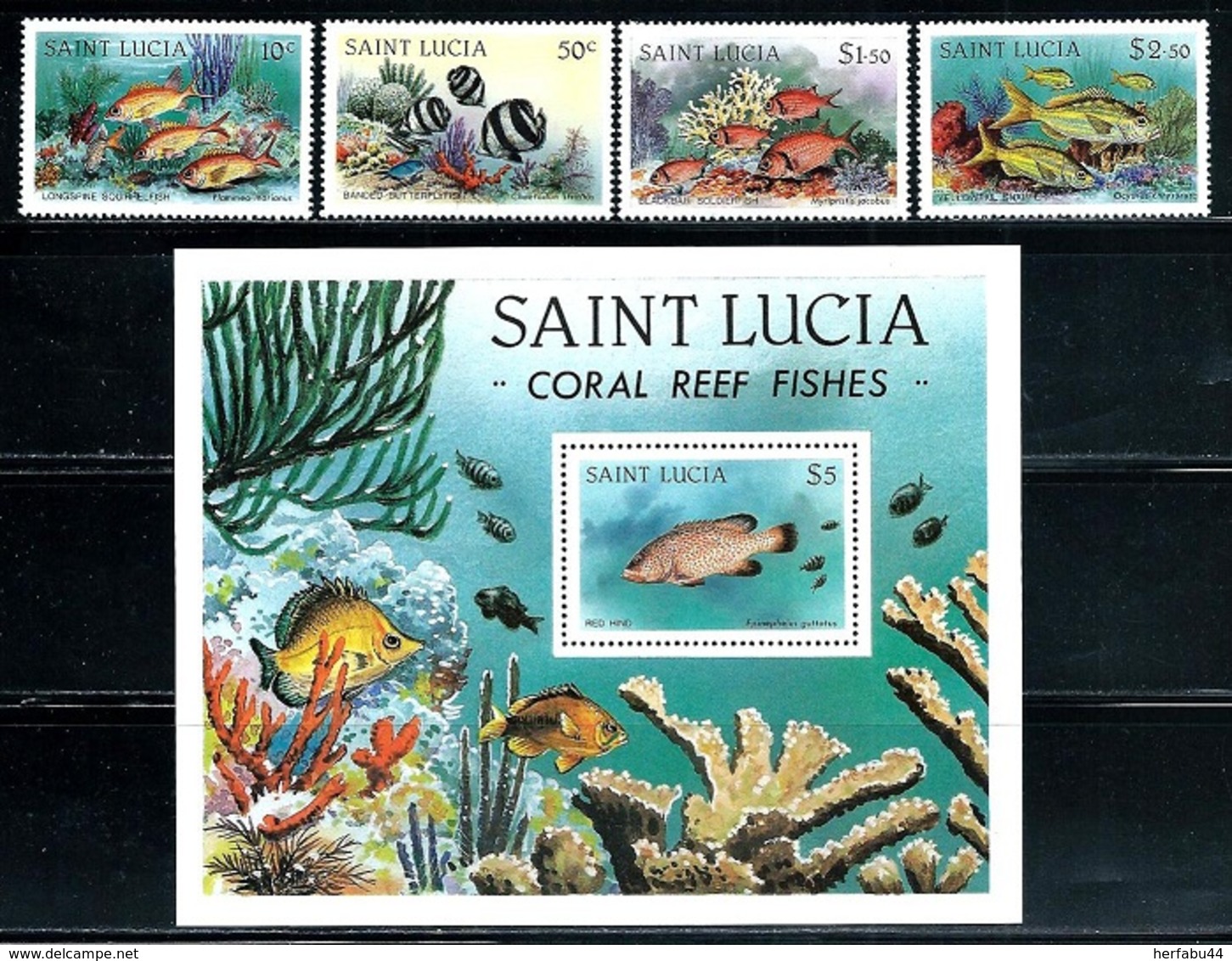 St. Lucia    "Coral Reef Fish"      Set  & Souvenir Sheet      SC# 612-16   MNH - St.Lucia (1979-...)