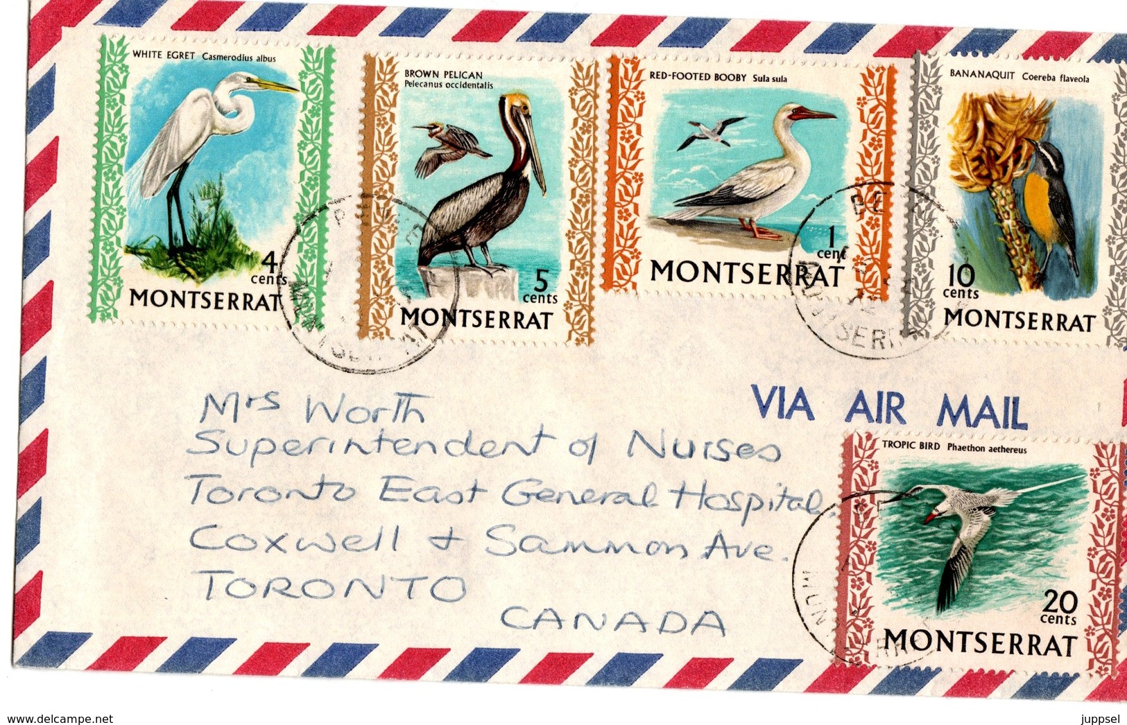 MONTSERRAT, Letter, Birds  /  Lettre, Oiseaux - Sonstige & Ohne Zuordnung