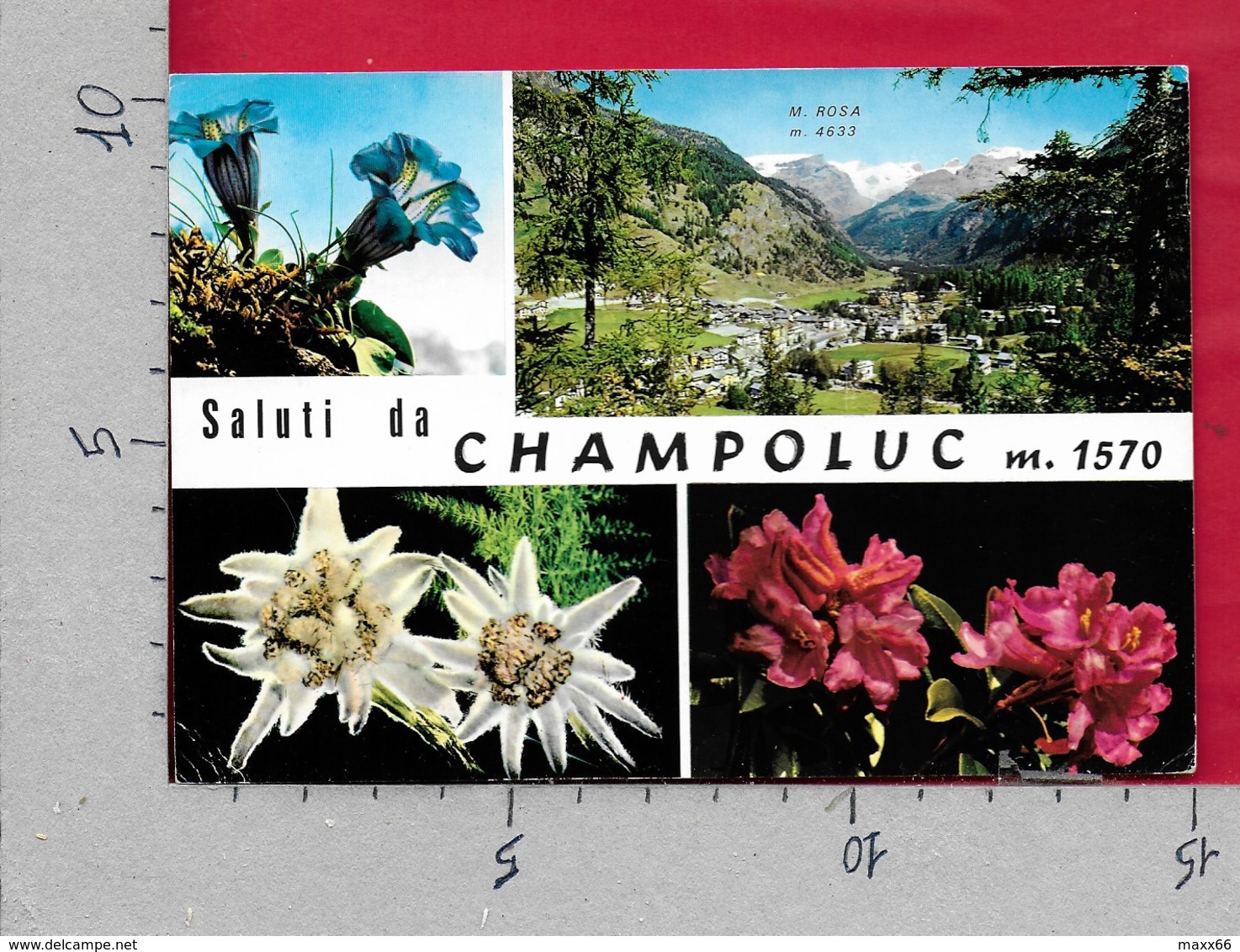 CARTOLINA VG ITALIA - Saluti Da CHAMPOLUC (AO) - Vedutine Multivue - 10 X 15 - ANN. 1997 GIARDINI PUBBLICI SCIARRA - Saluti Da.../ Gruss Aus...