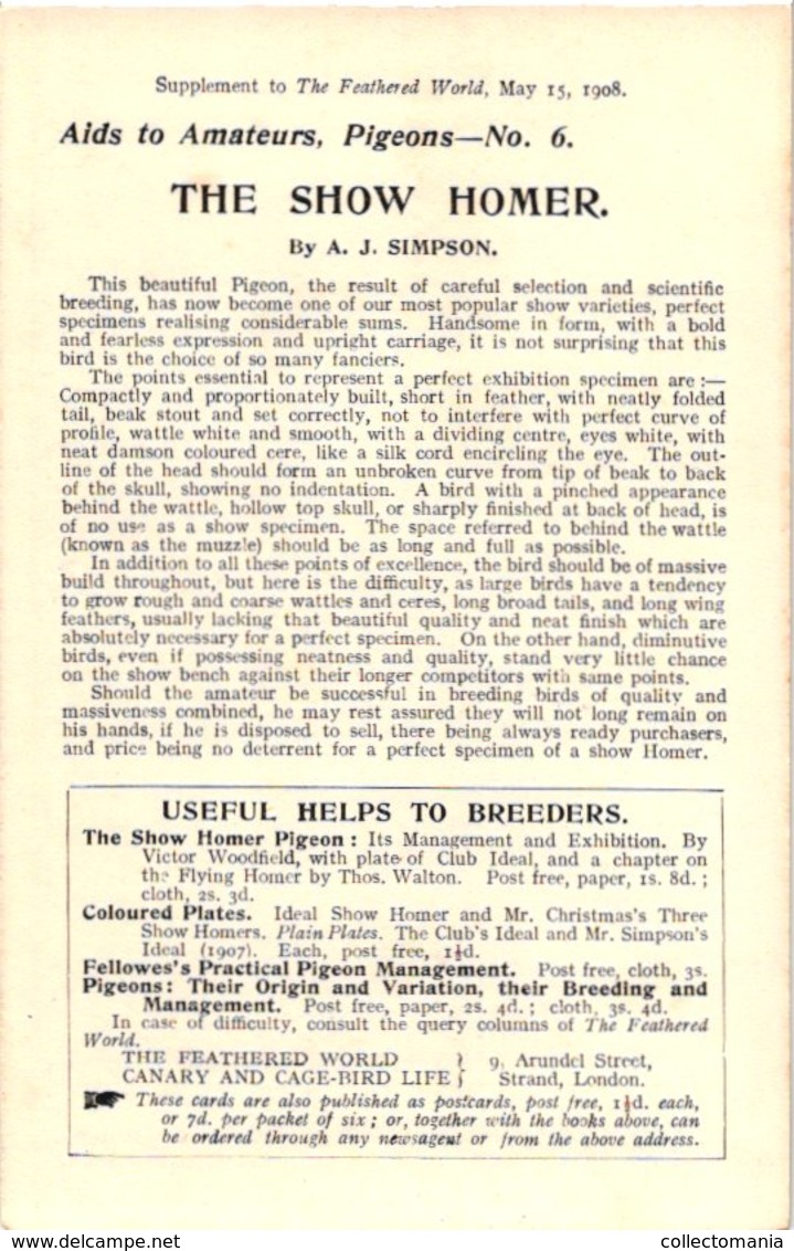 6 cards  c1908 PUB magazine Feathered World - NO postcard -  RAces  duiven duif pigeon Taube VERY GOOD