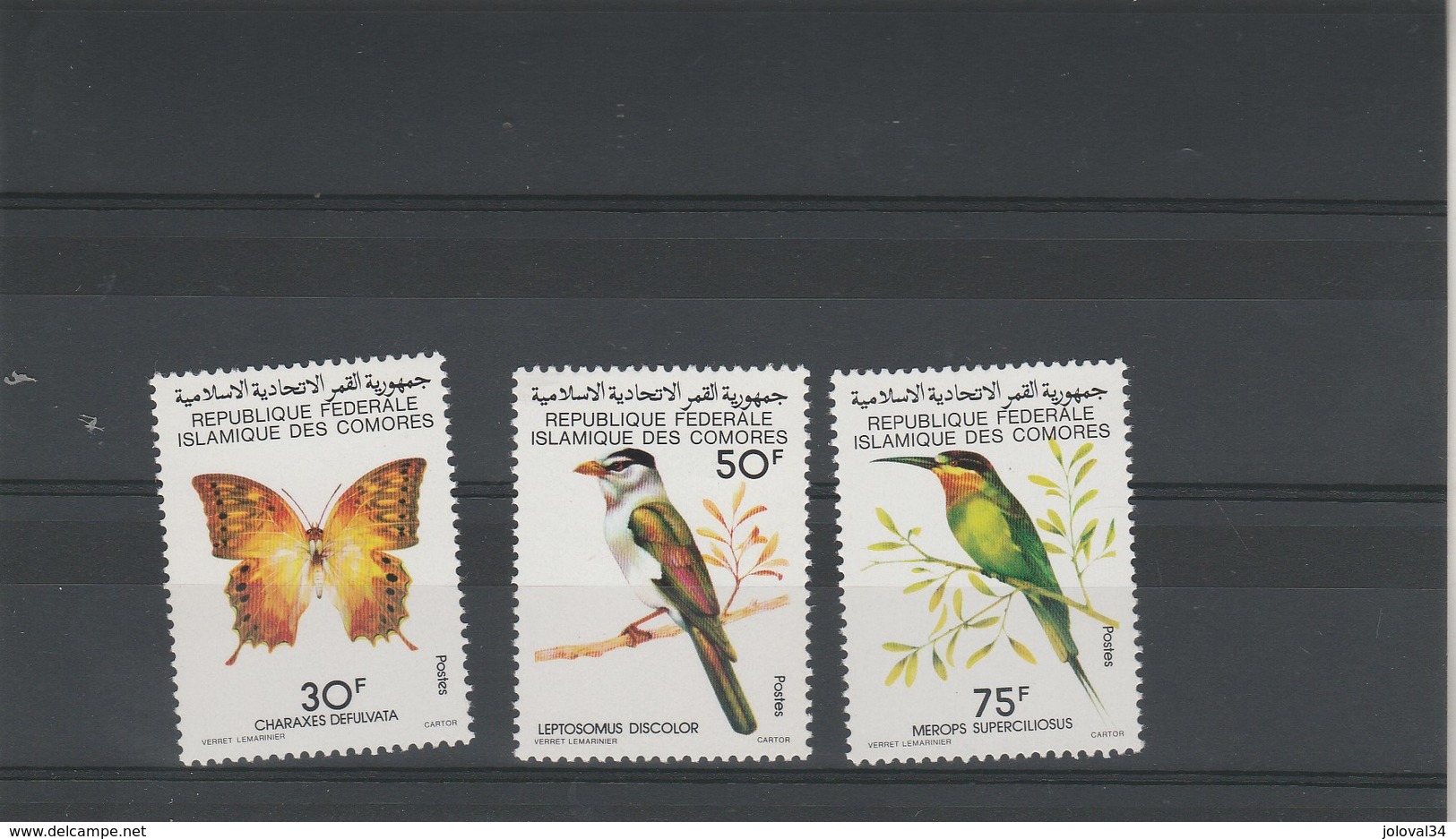 COMORES Yvert 253 à 255 ** Neufs Sans Charnière - Papillon Oiseau - Comores (1975-...)