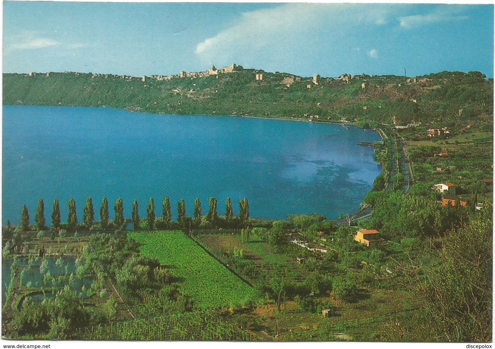 V3124 Castelgandolfo Castel Gandolfo (Roma) - Il Lago Albano E Panorama / Non Viaggiata - Autres & Non Classés