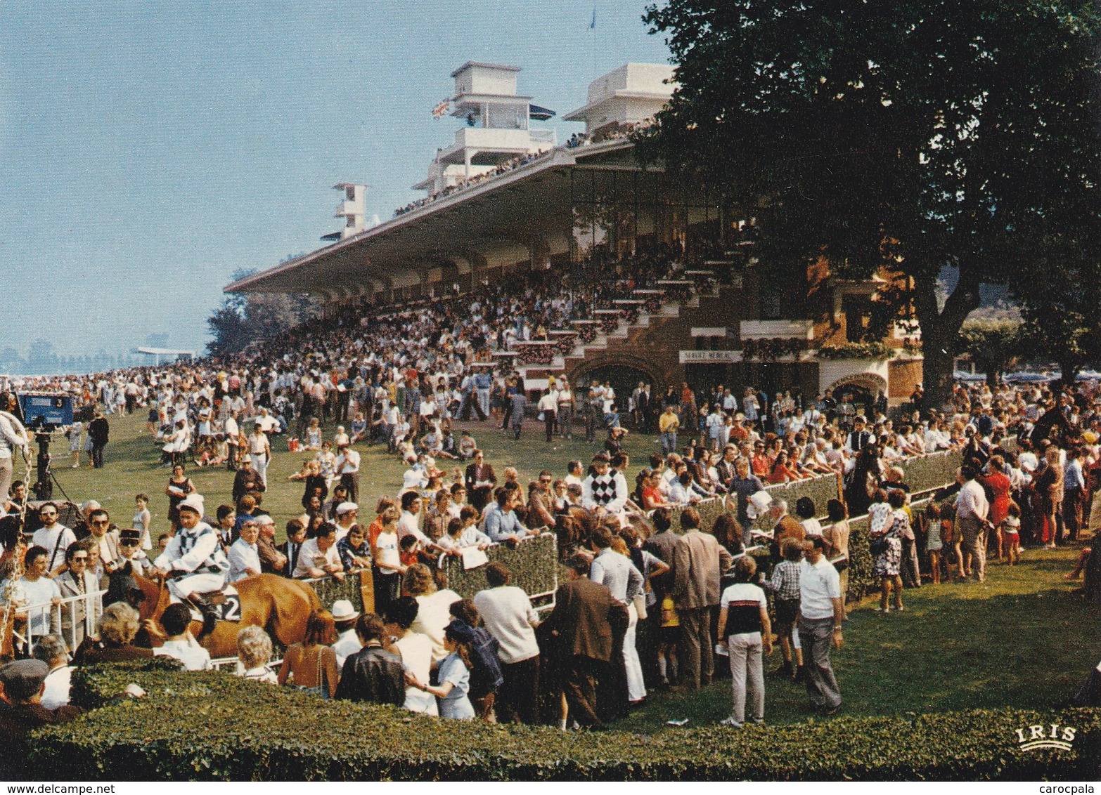 Carte 1970 DEAUVILLE / TROUVILLE / LE CHAMP DE COURSES - Deauville