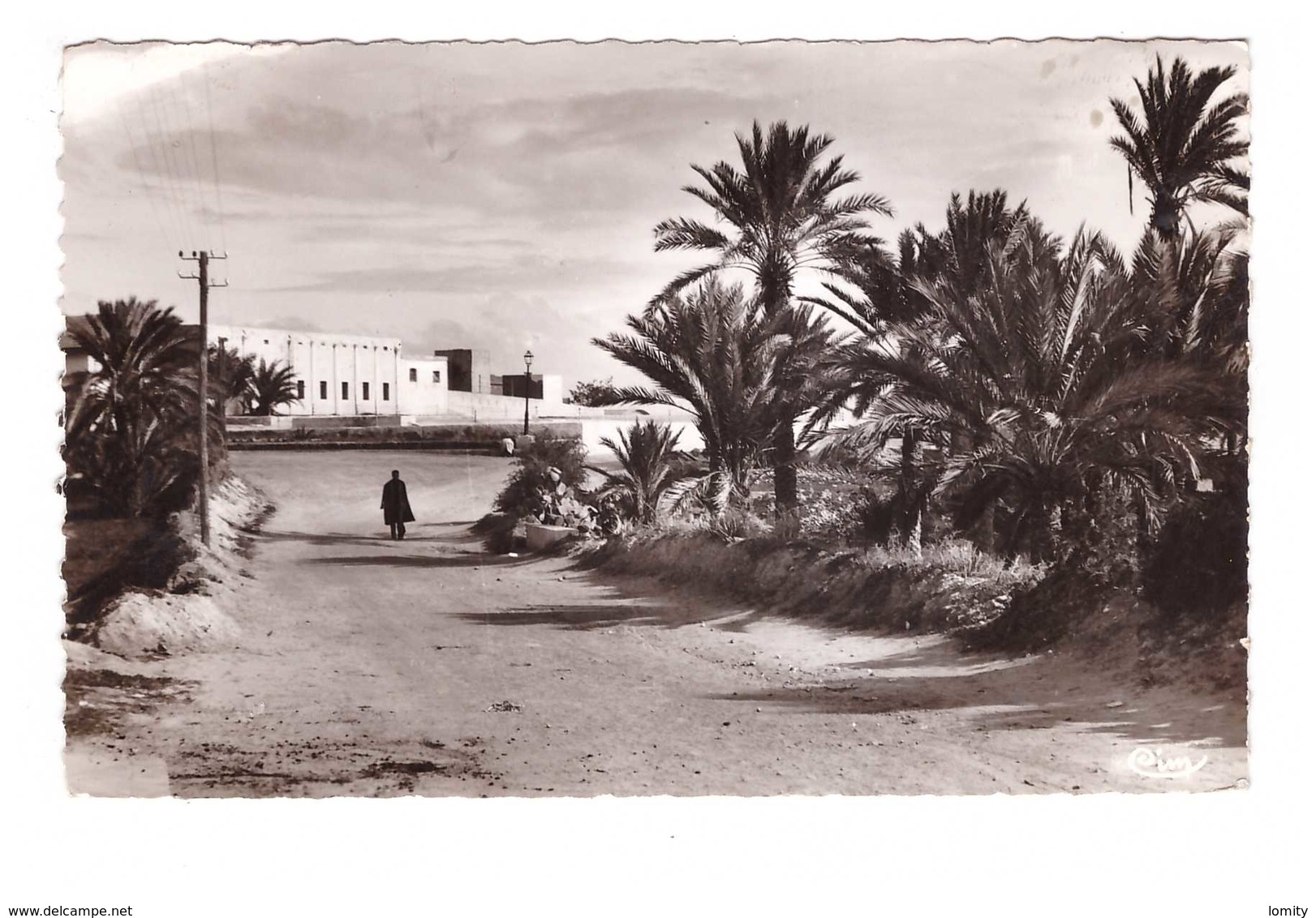 Tunisie Zarzis Route De La Plage CPSM PF Edit Combier Cachet Daguin Djerba 1954 + Timbre - Tunisia