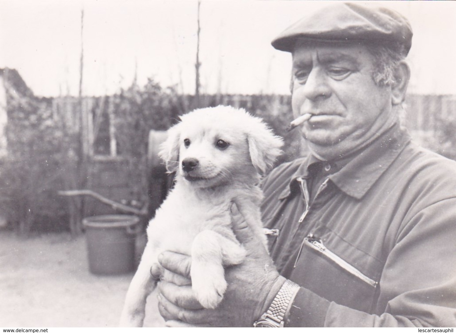 Photo Tampon Jean Louis Raynaud SPA Castelnaudary  Petit Chiot Et Bénévole Année 70 - Persone Anonimi