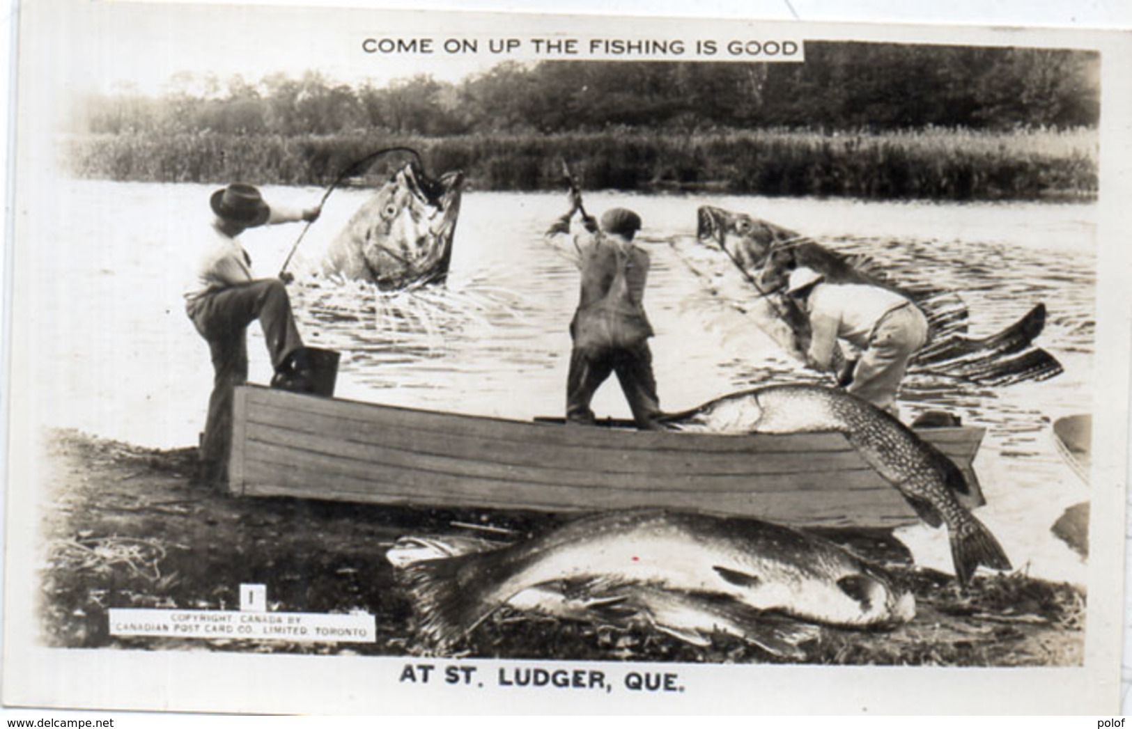 Come On Up The Fishing Is Good - At St. Luger, Québec    (110403) - Fishing