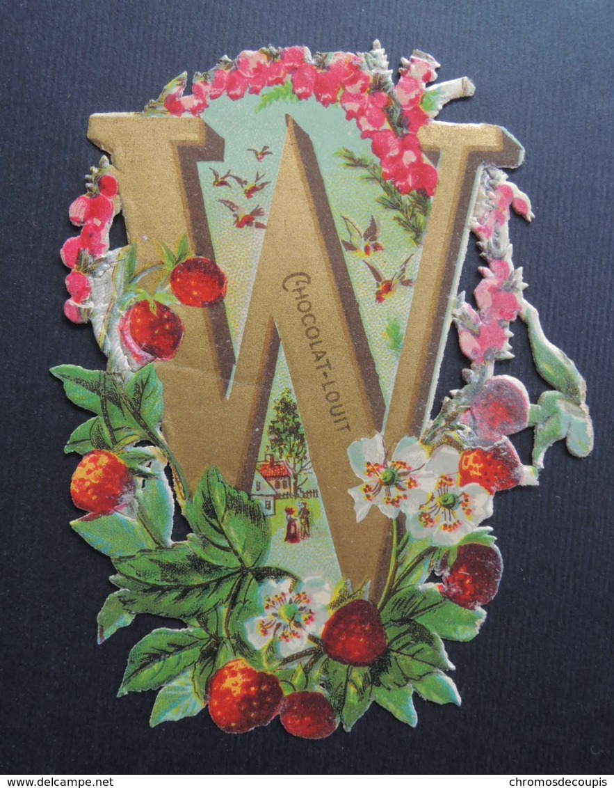 Découpi Ancien. Chocolat  LOUIT.  ALPHABET.  Lettre  W   Fraises  Des  Bois. .   11,5 X 8 Cm - Autres & Non Classés