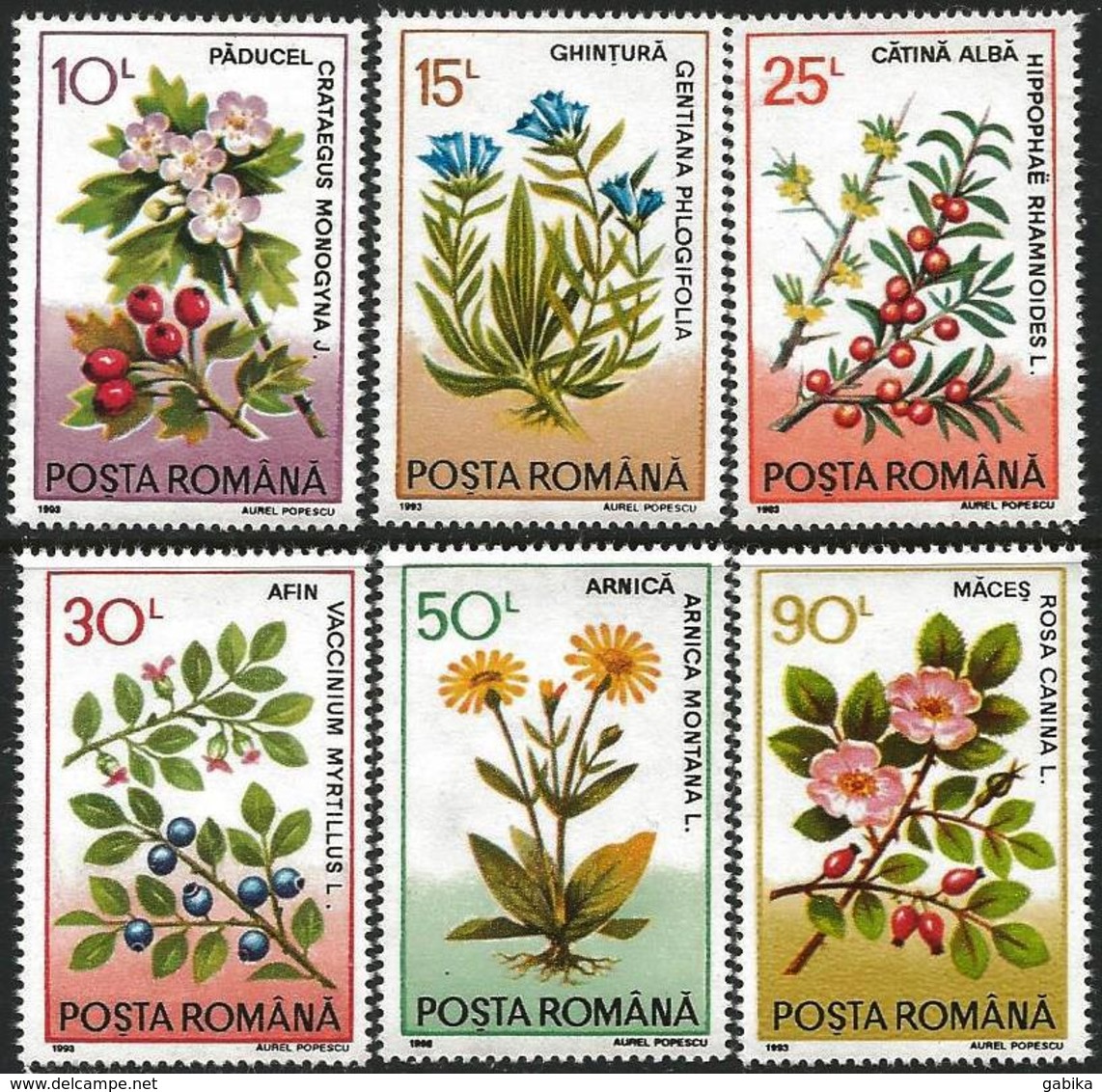Romania 1993 Scott 3804-09 MNH Flowers - Unused Stamps