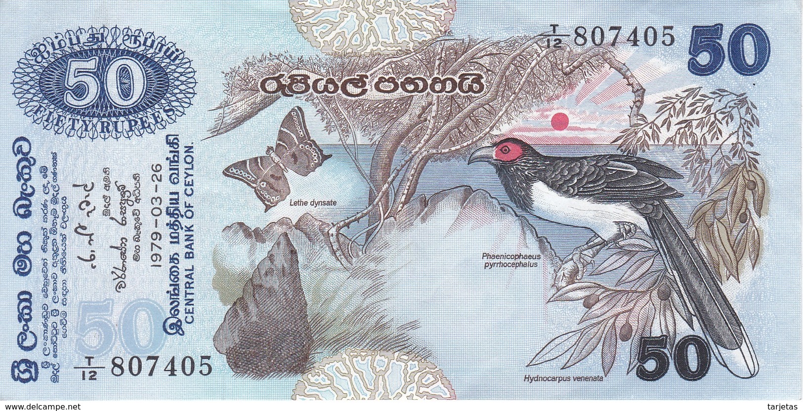 BILLETE DE SRY LANKA DE 50 RUPEES DEL AÑO 1979 EN CALIDAD EBC (XF)(BANKNOTE) - Sri Lanka