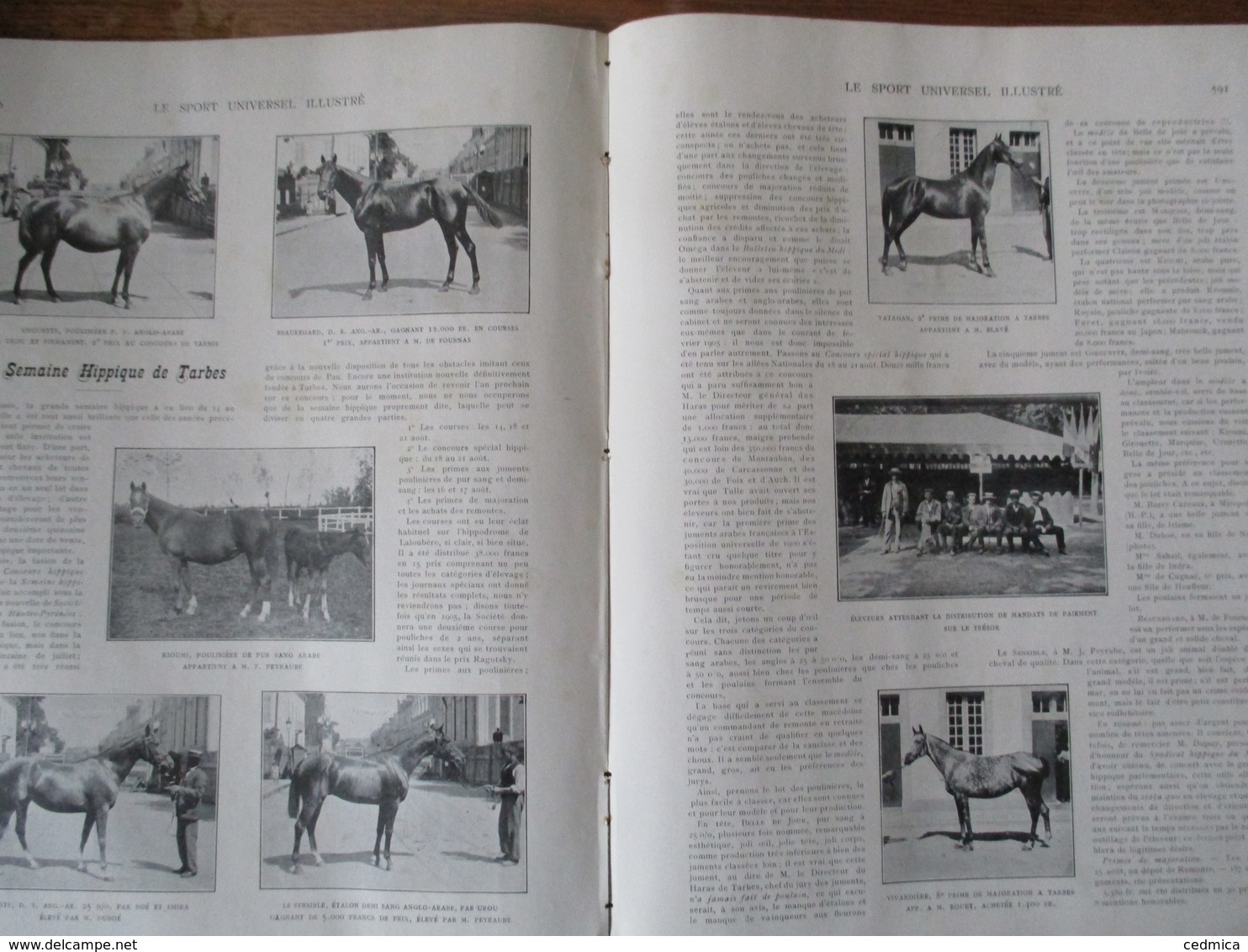 LE SPORT UNIVERSEL ILLUSTRE N°425 11 SEPTEMBRE 1904 VENTES DE YEARLINGS A DEAUVILLE,SEMAINE HIPPIQUE DE TARBES,FIELD-TRI - 1900 - 1949