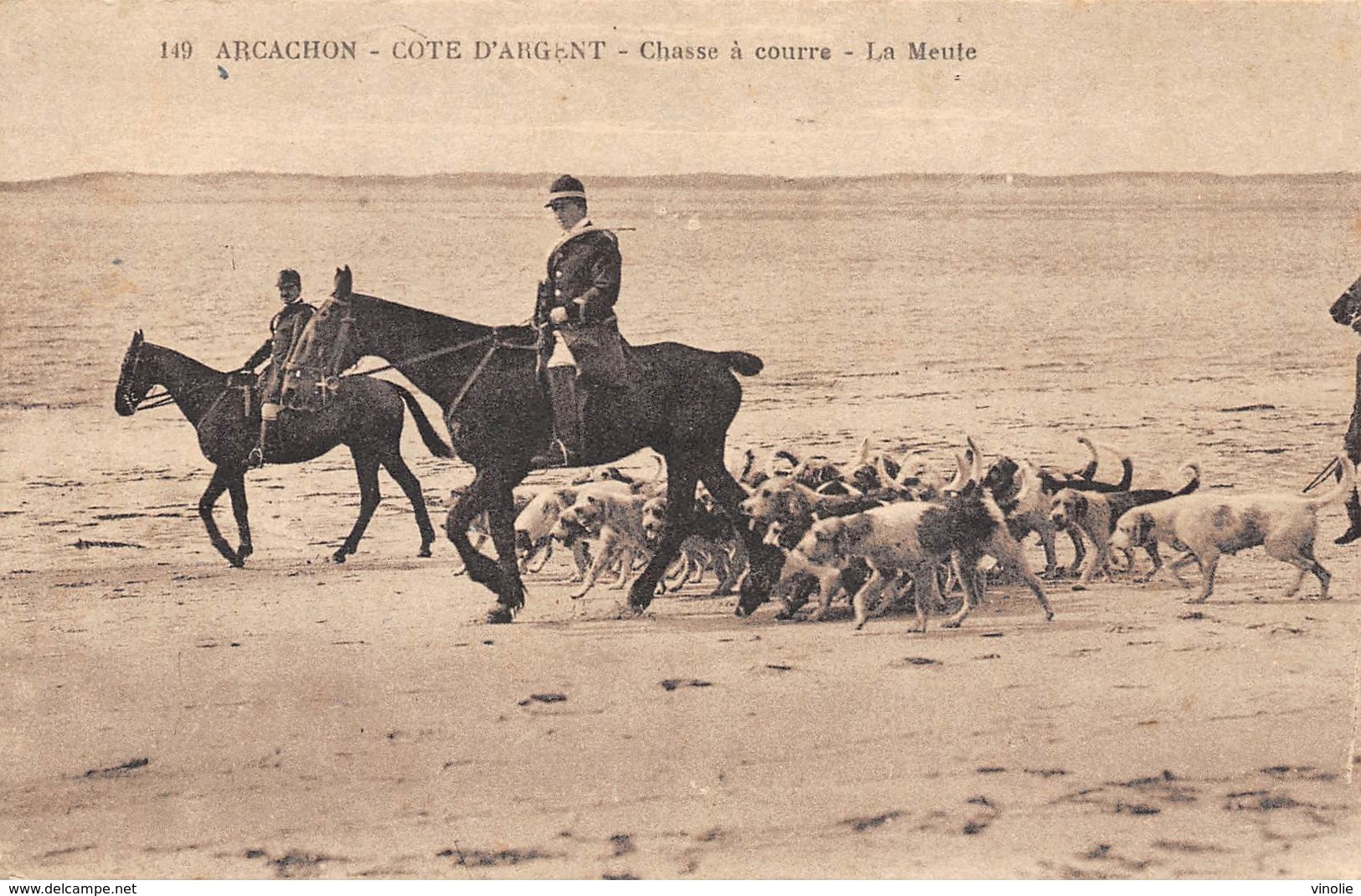 PIE-RO. Fp-18-7155 : ARCACHON. CHASSE A COURRE. LA MEUTE. VENERIE. - Arcachon