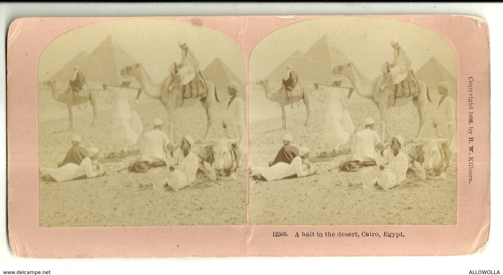 1924 "A HALT IN THE DESERT,CAIRO,EGYPT" CARTOLINA ORIGINALE - Cartoline Stereoscopiche