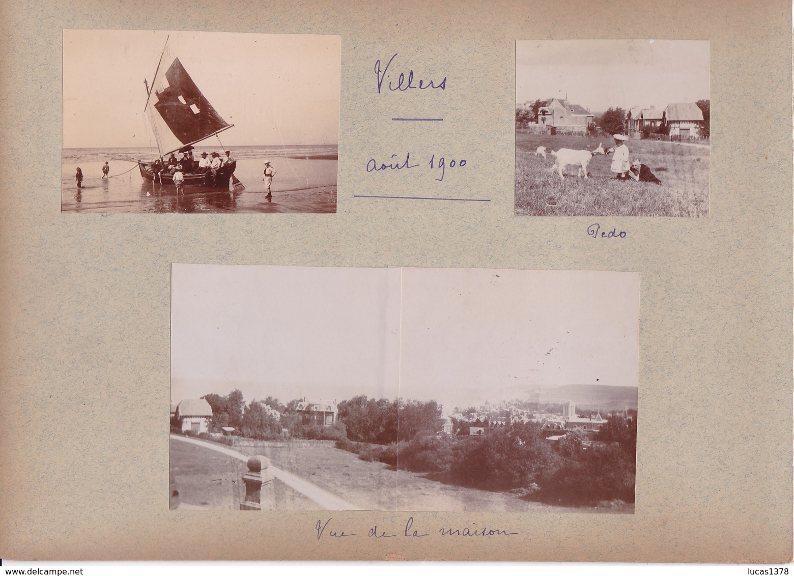 14 /VILLERS  / 11 TRES BELLES PHOTOS 1900 / PECHE AU GRAND FILET / INTERIEUR EGLISE / VUE / - Villers Sur Mer