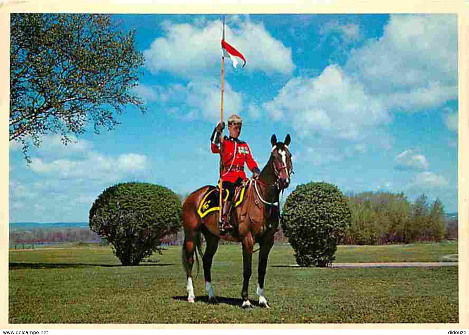 Animaux - Chevaux - Canada - A Member Of The Famed Royal Canadian Mounted Police - Carte Neuve - Voir Scans Recto-Verso - Horses