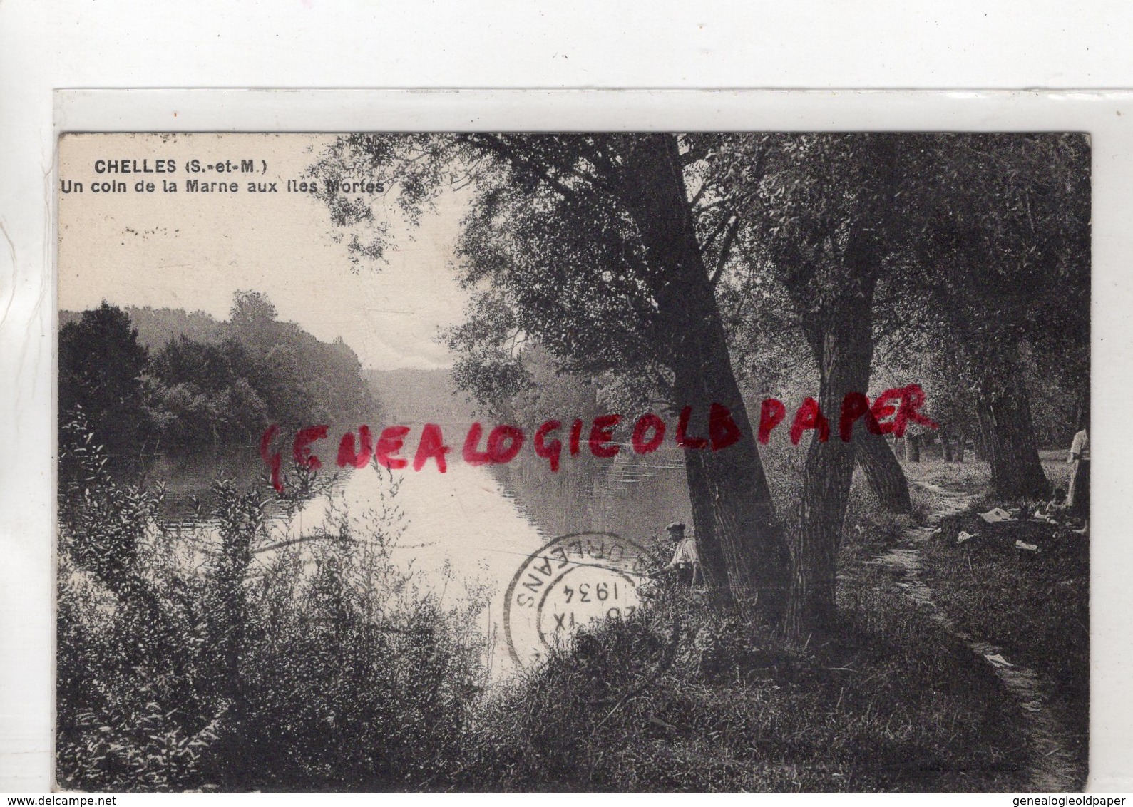 77- CHELLES - UN COIN DE LA MARNE AUX ILES MORTES - PECHE A LA LIGNE - Chelles