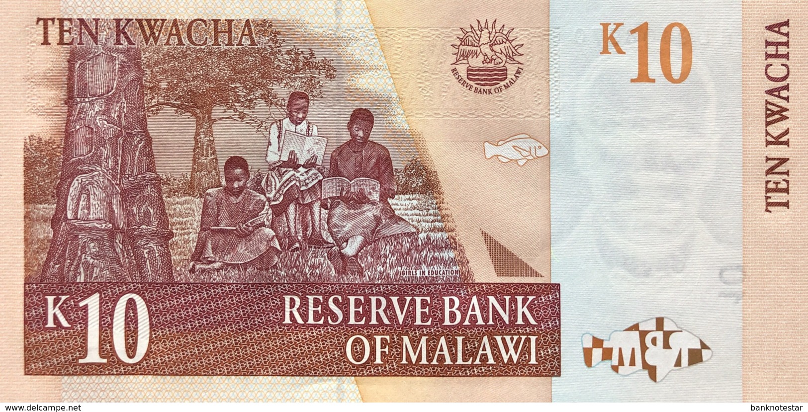 Malawi 10 Kwacha, P-51a (1.6.2004) - UNC - Malawi