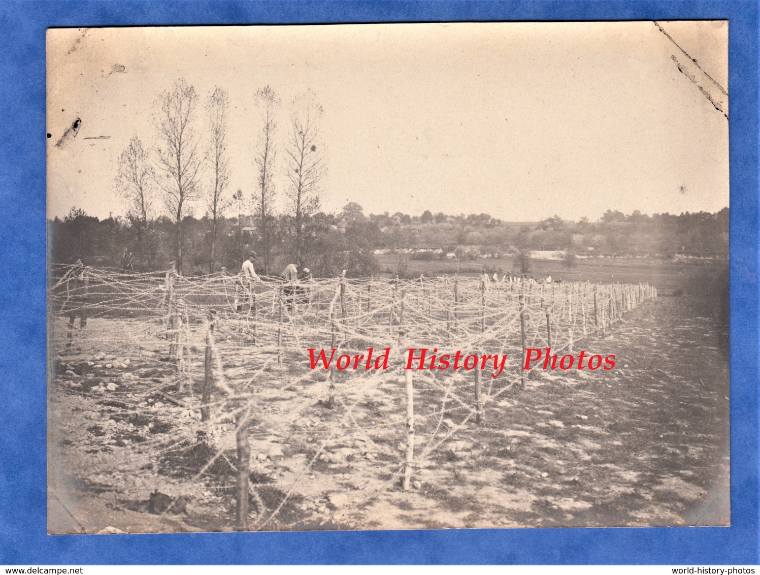 Photo Ancienne - VIENNE LE CHATEAU - Construction D'un Rideau De Fil De Fer Dans Le Parc Du Chateau - Argonne Marne WW1 - Guerre, Militaire