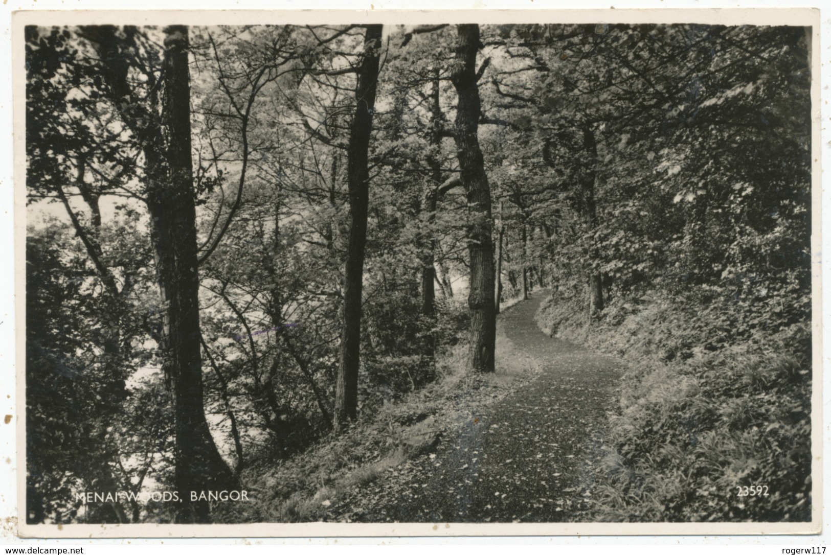 Menai Woods, Bangor, 1961 Postcard - Caernarvonshire